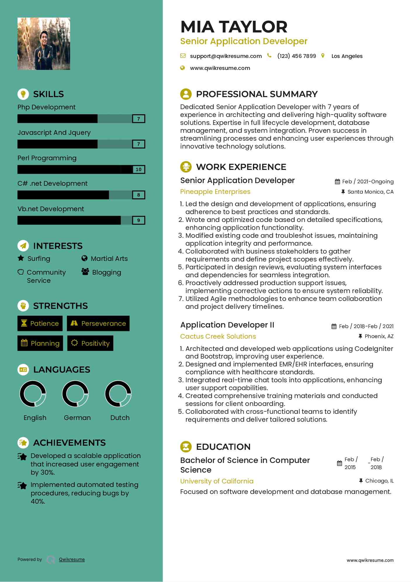 Senior Application Developer Resume Model