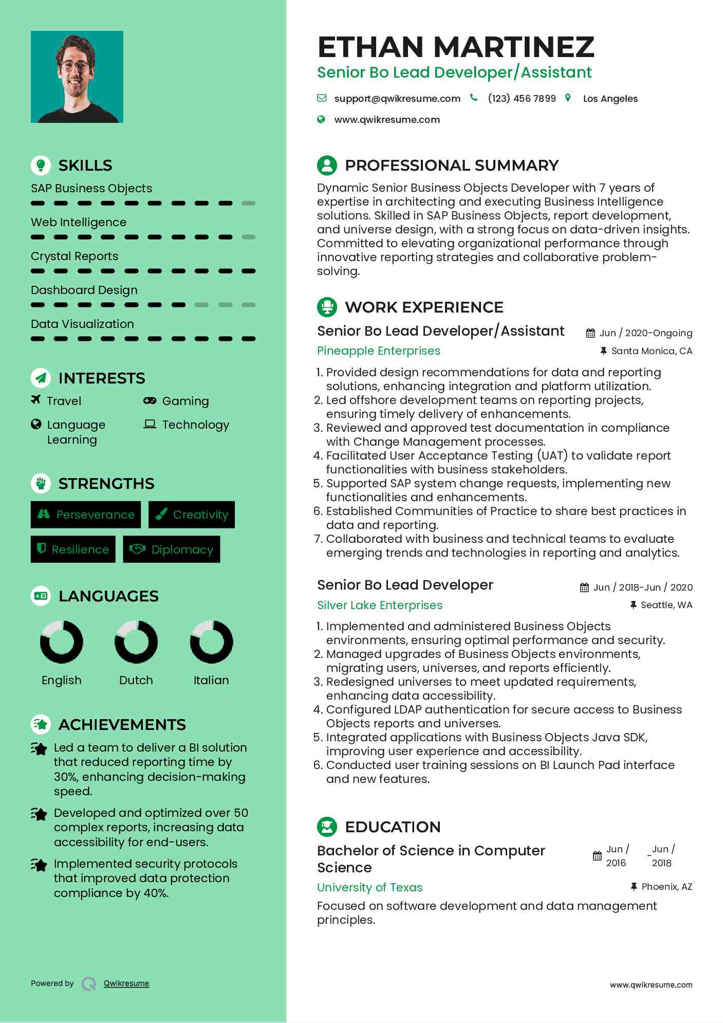 Senior Bo Lead Developer/Assistant Resume Format