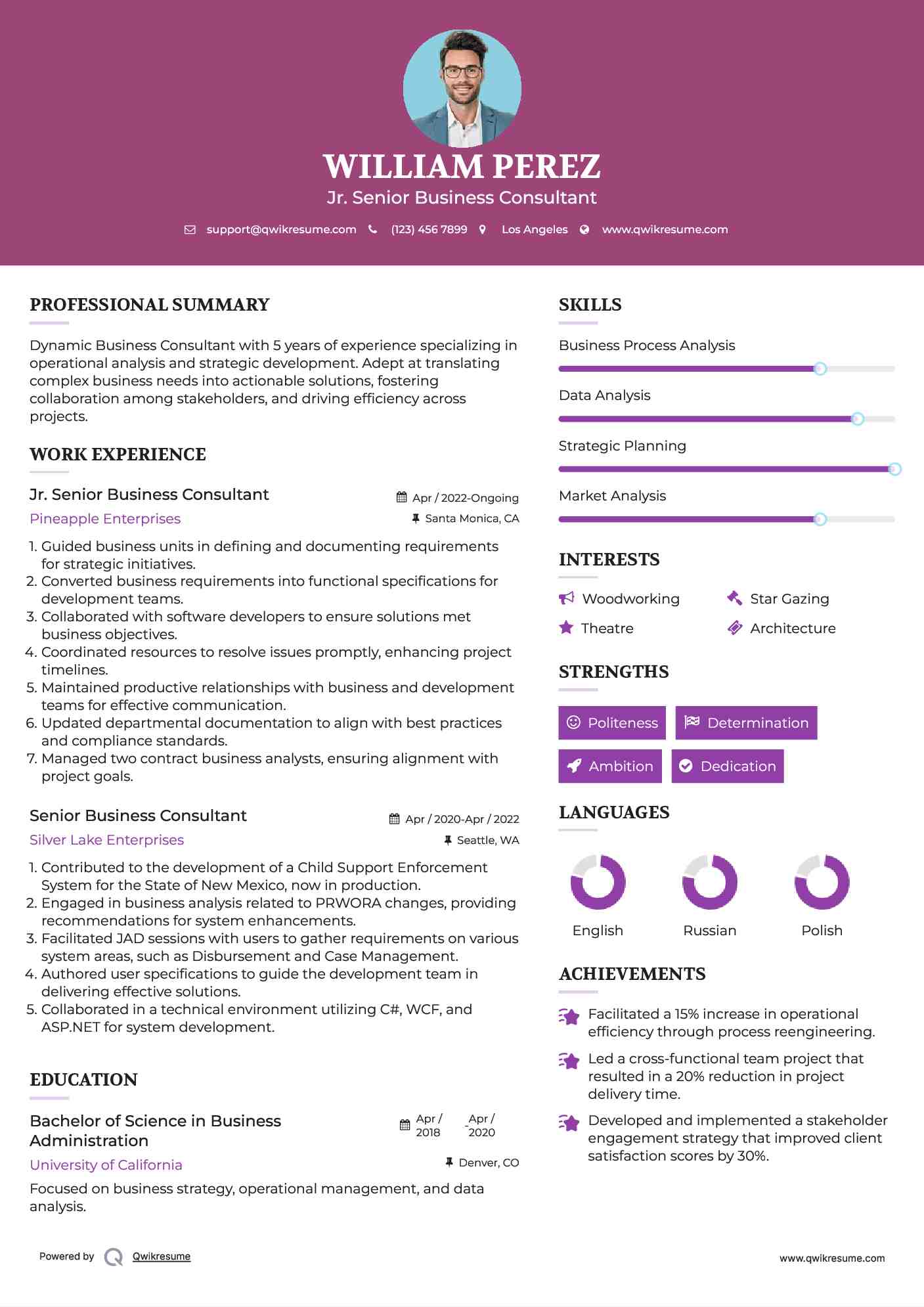 Jr. Senior Business Consultant Resume Model
