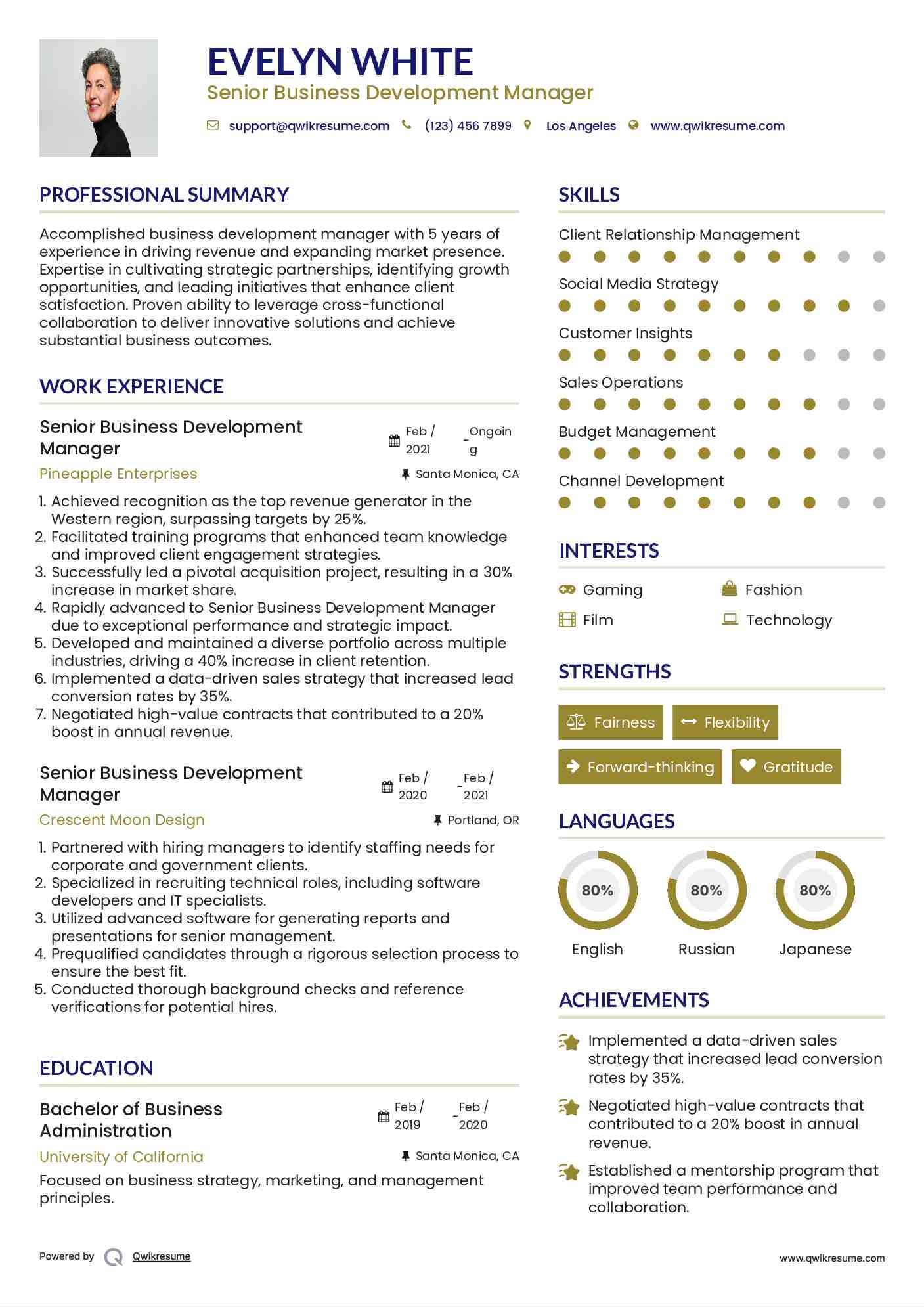 Senior Business Development Manager Resume Template