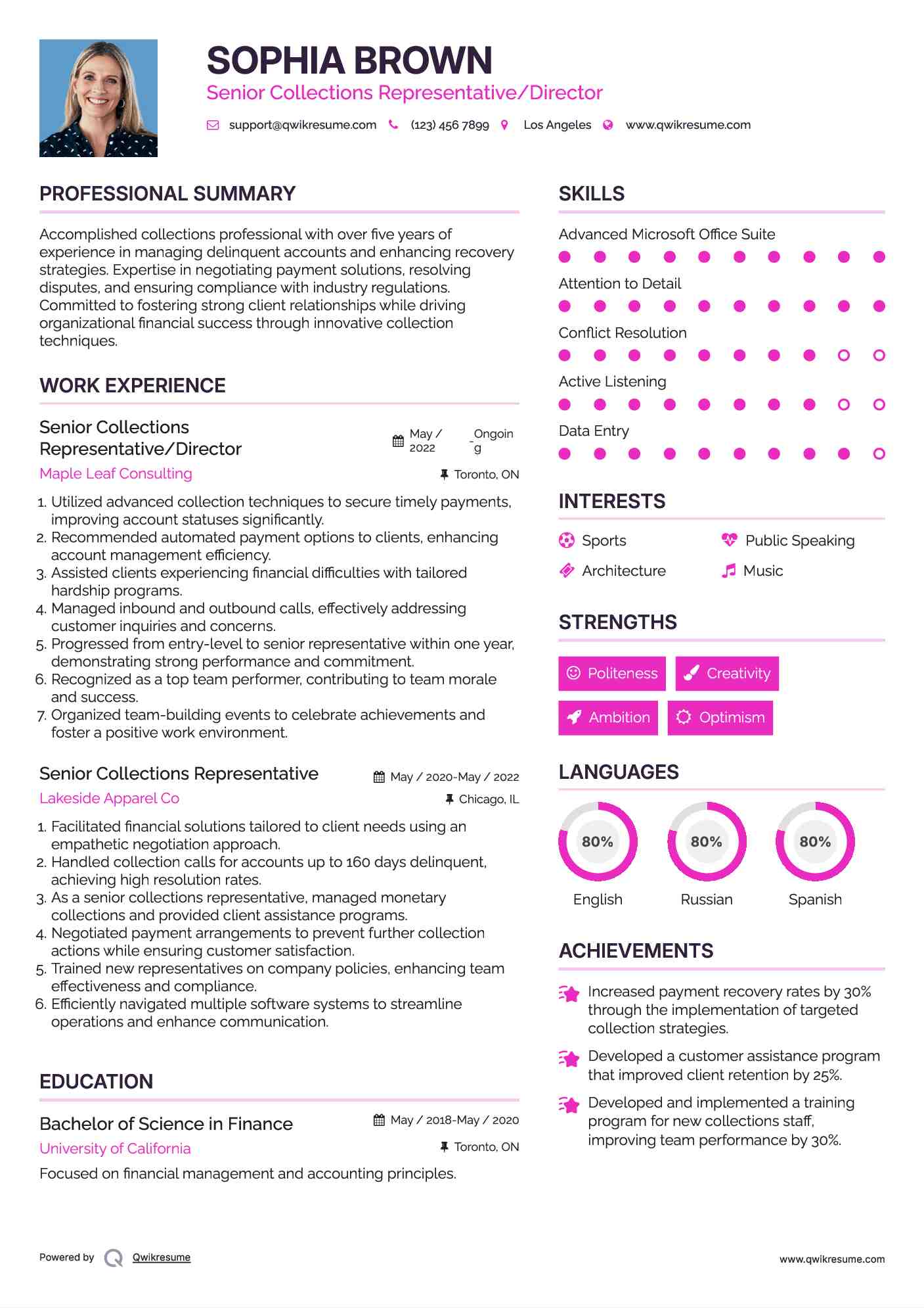 Senior Collections Representative/Director Resume Template