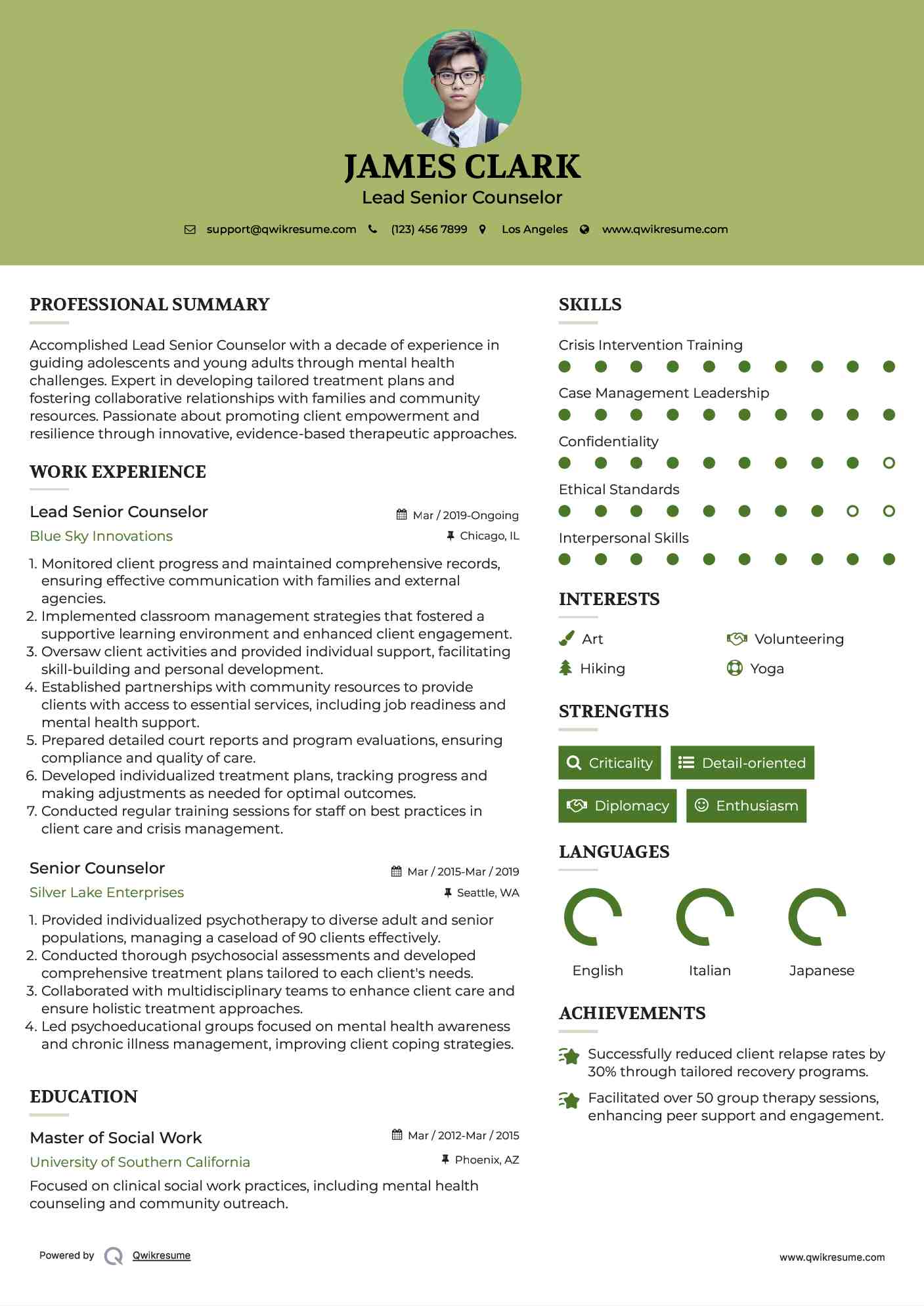 Lead Senior Counselor Resume Example