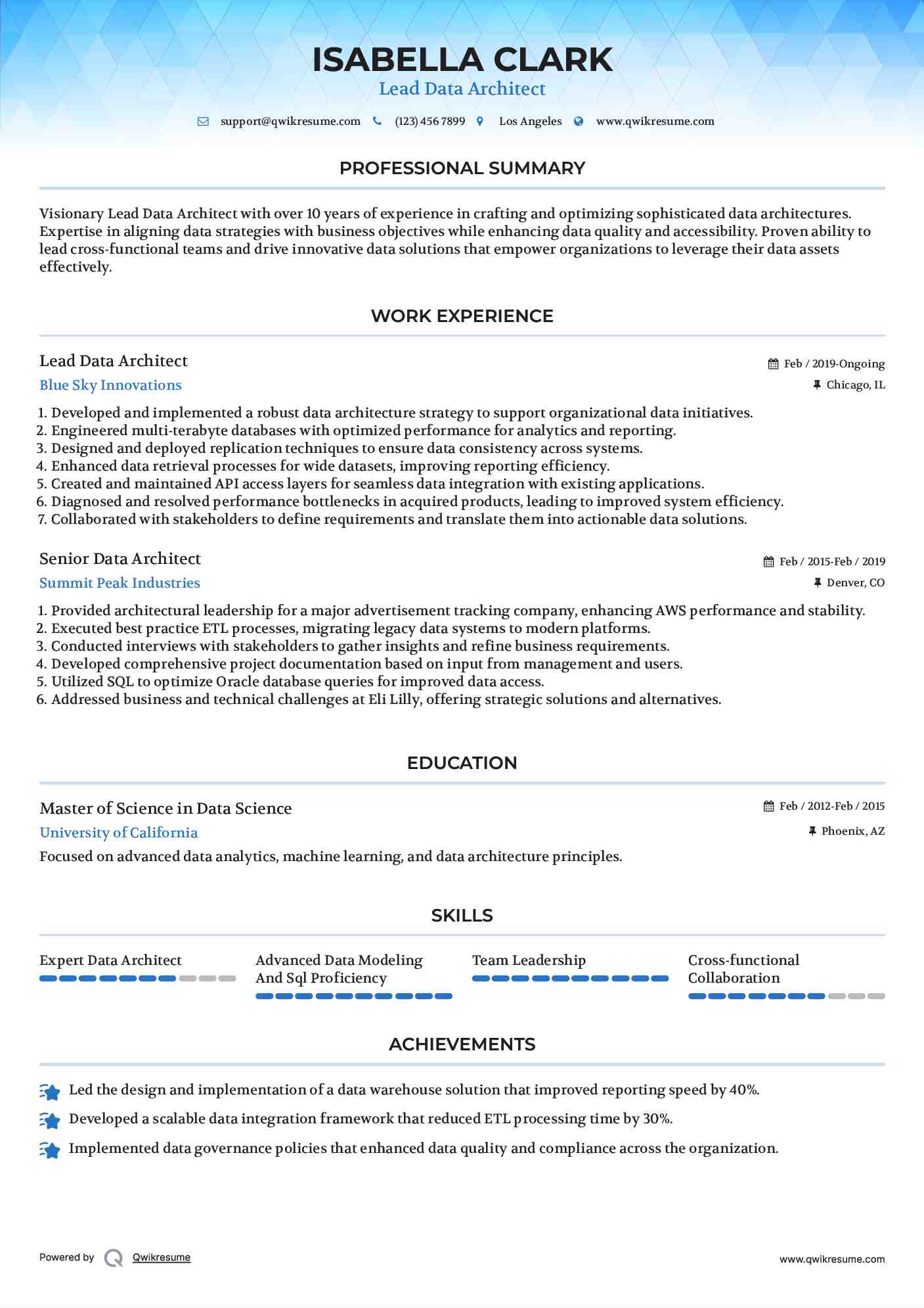 Lead Data Architect Resume Format