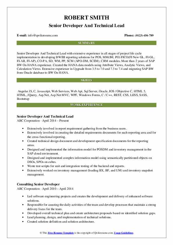 Senior Developer Cv Example Senior Developer Resume Examples – VOOZW