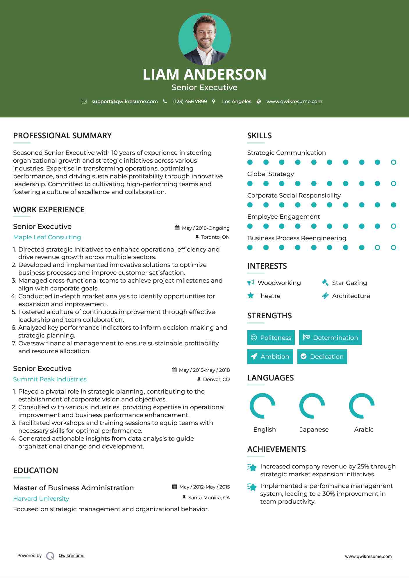Senior Executive Resume Format