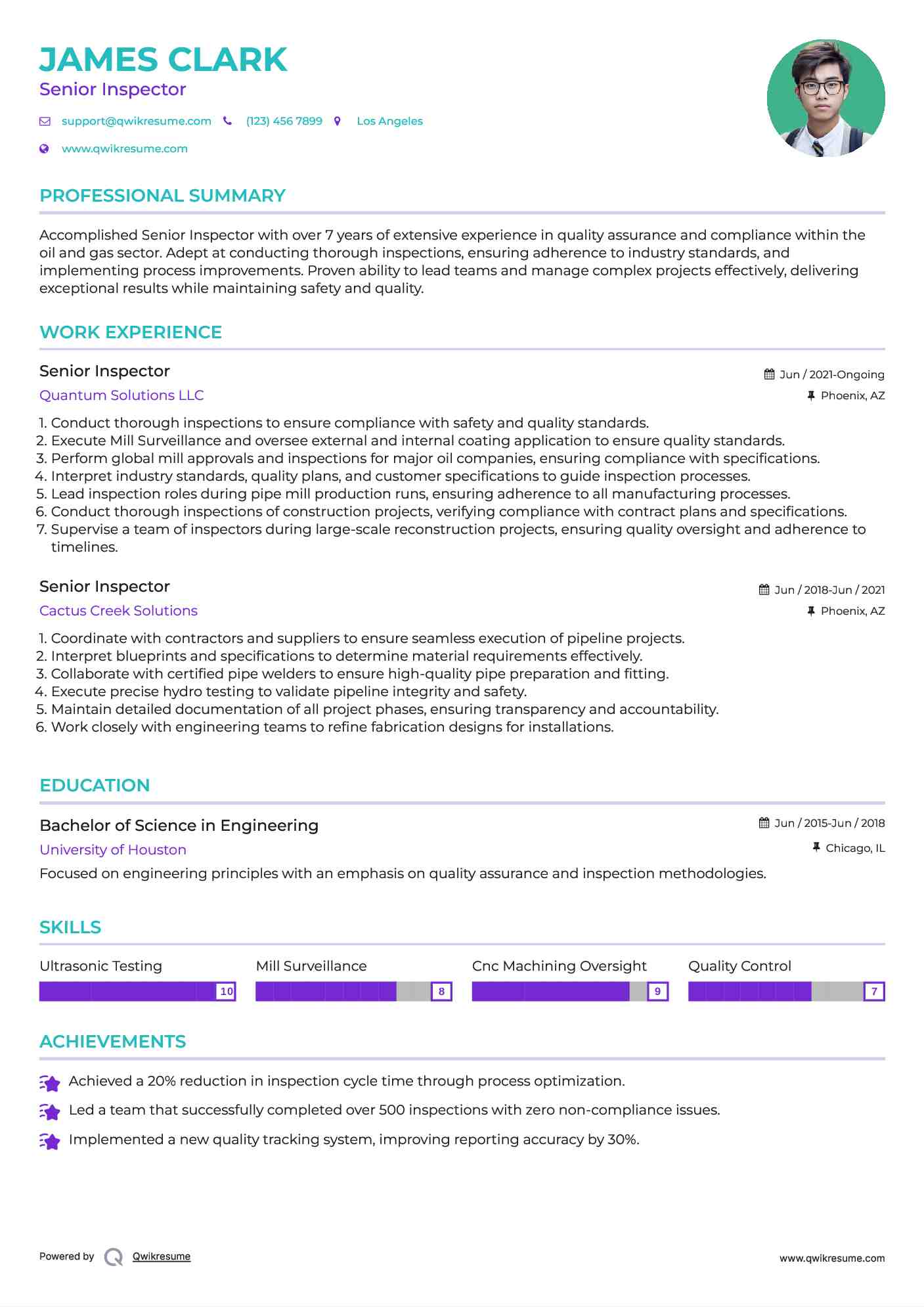 Senior Inspector Resume Example