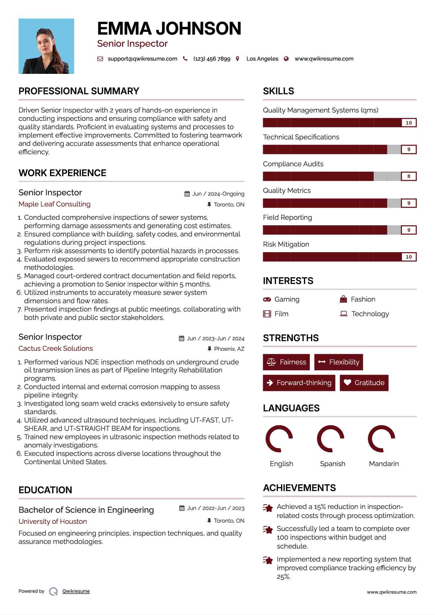 Senior Inspector Resume Template