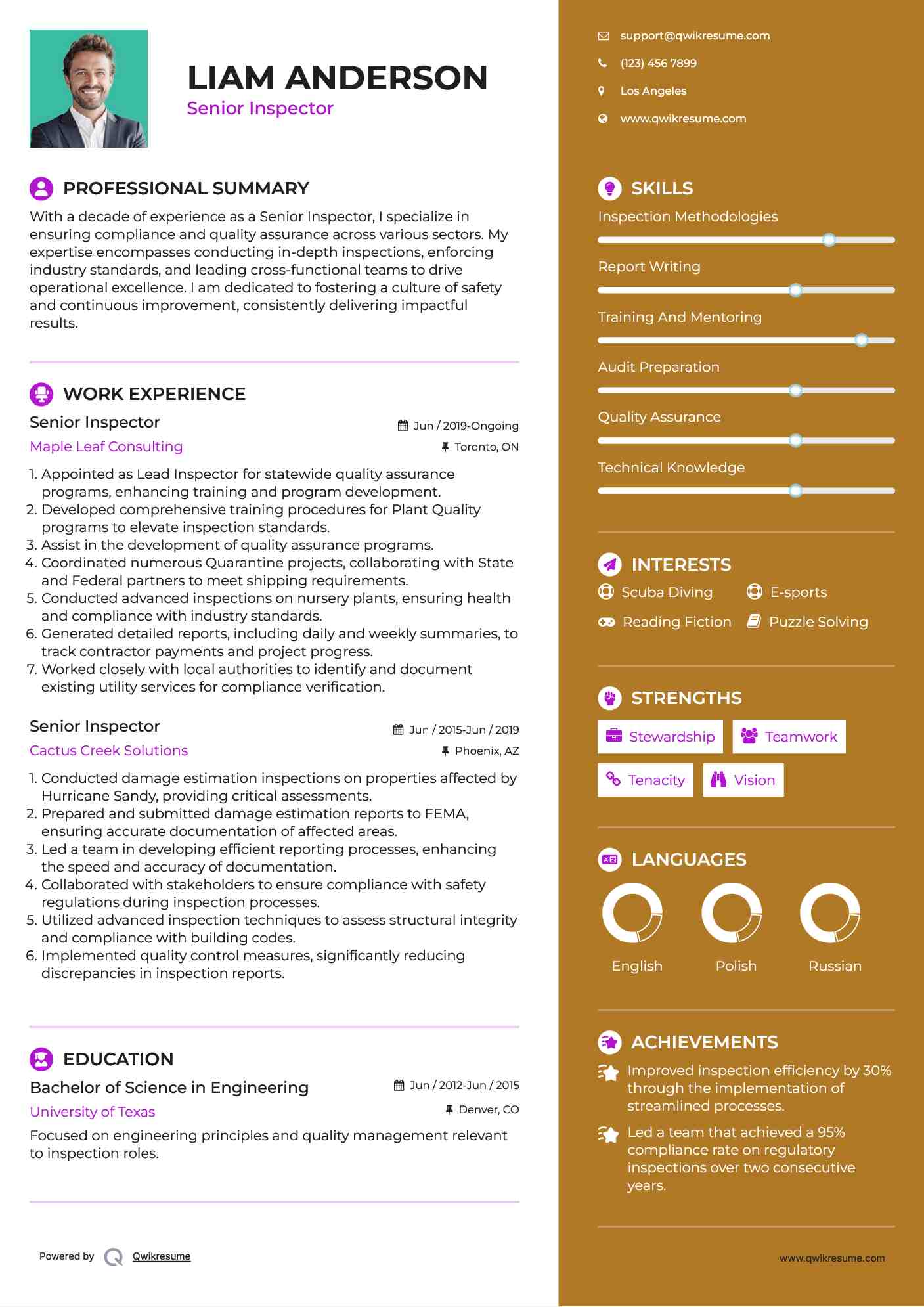 Senior Inspector Resume Model