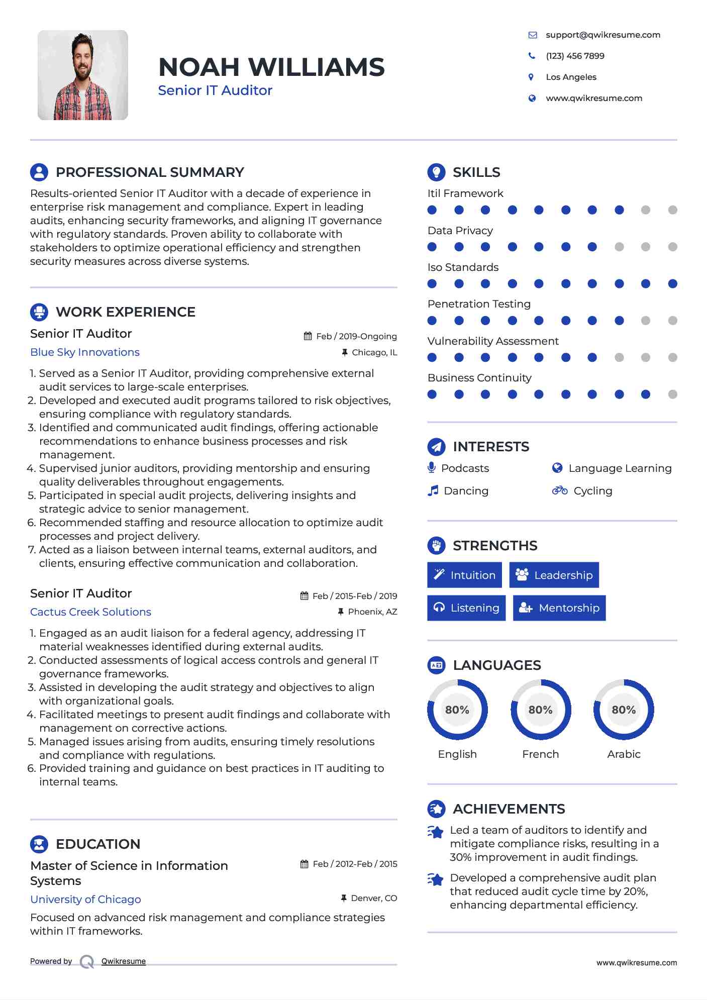 Senior IT Auditor Resume Model