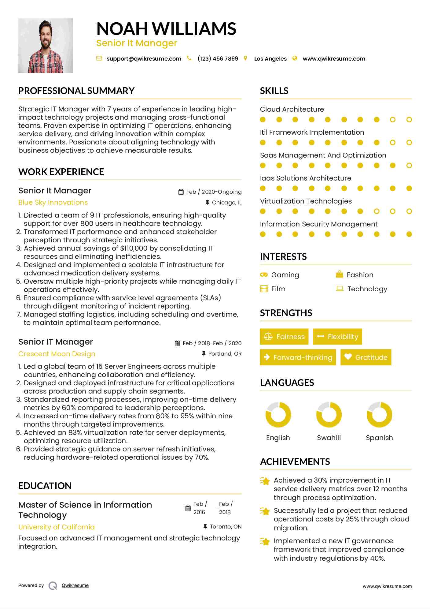 Senior It Manager Resume Template