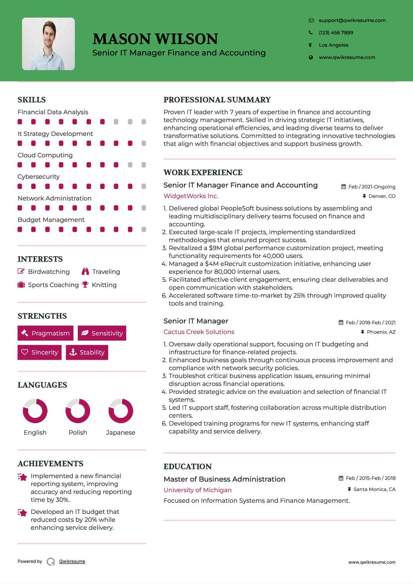 Senior IT Manager Finance and Accounting Resume Template