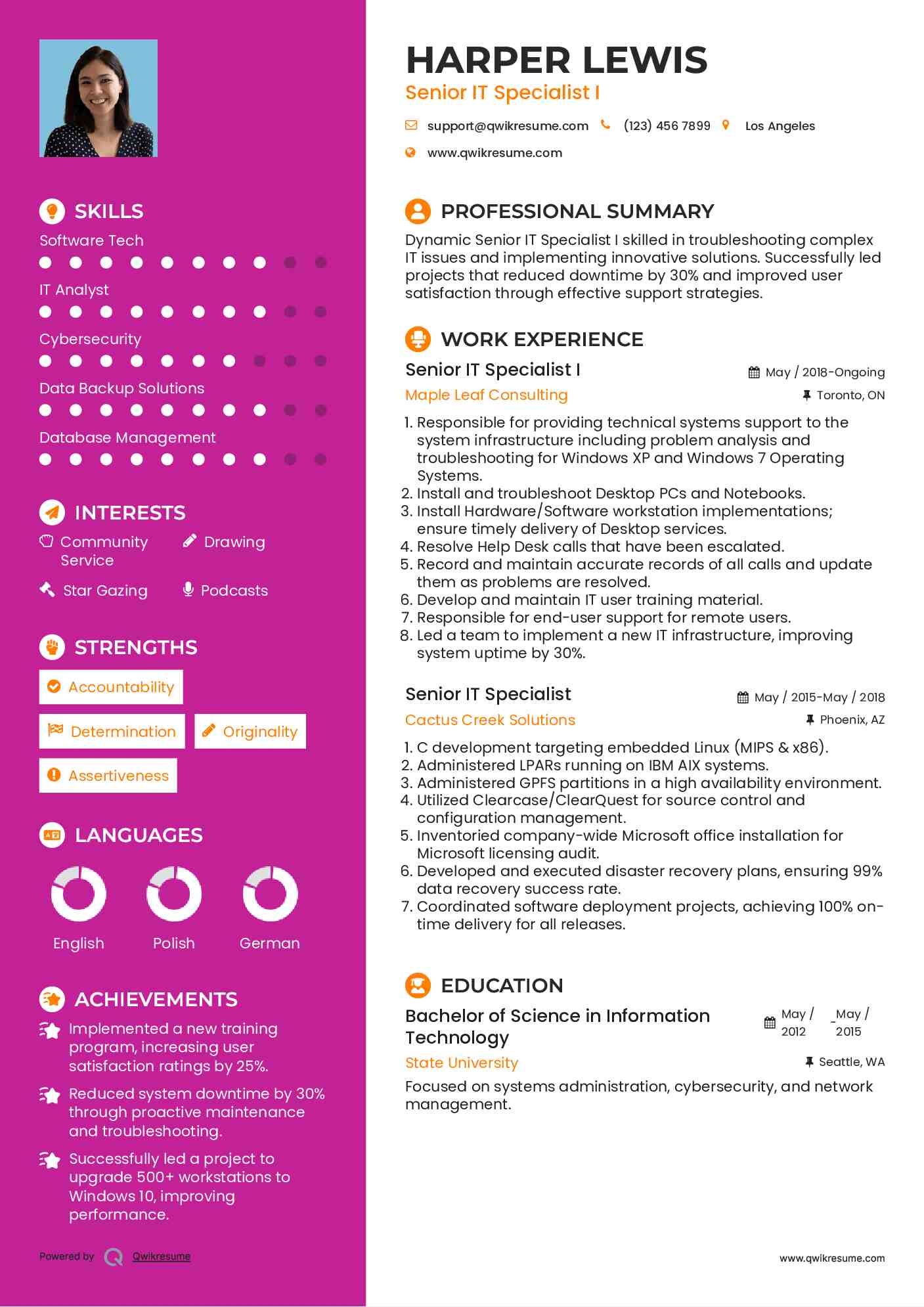 Senior IT Specialist I Resume Sample