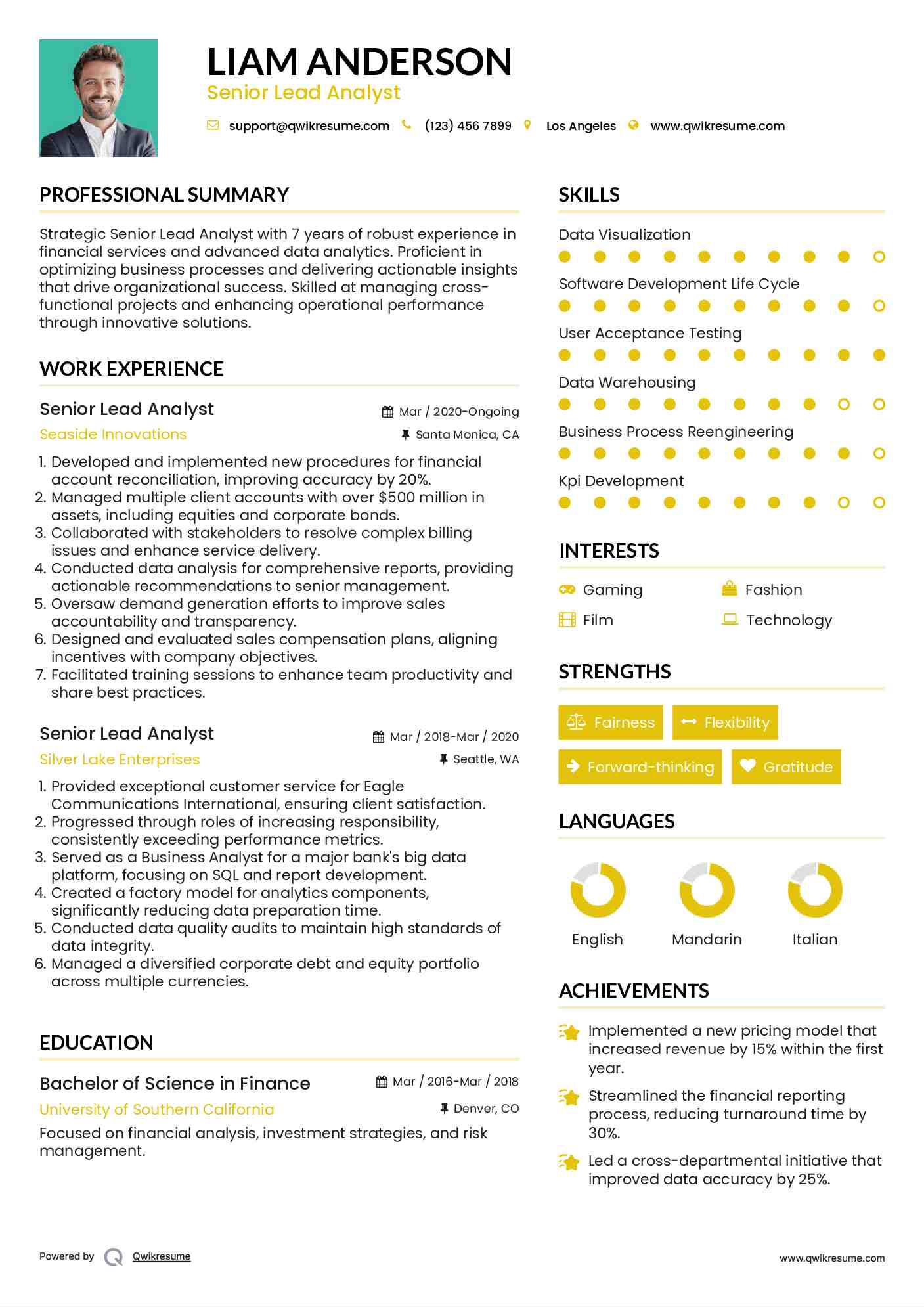 Senior Lead Analyst Resume Model