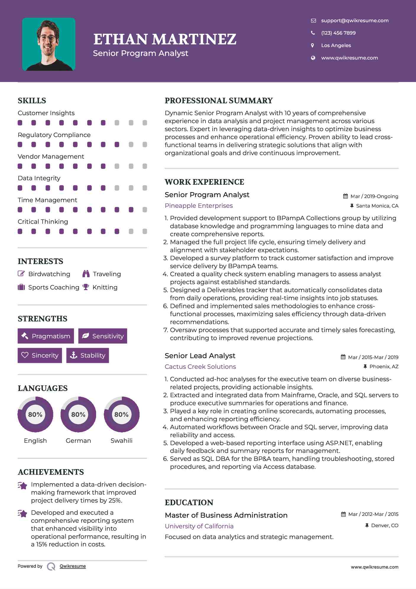 Senior Program Analyst Resume Template