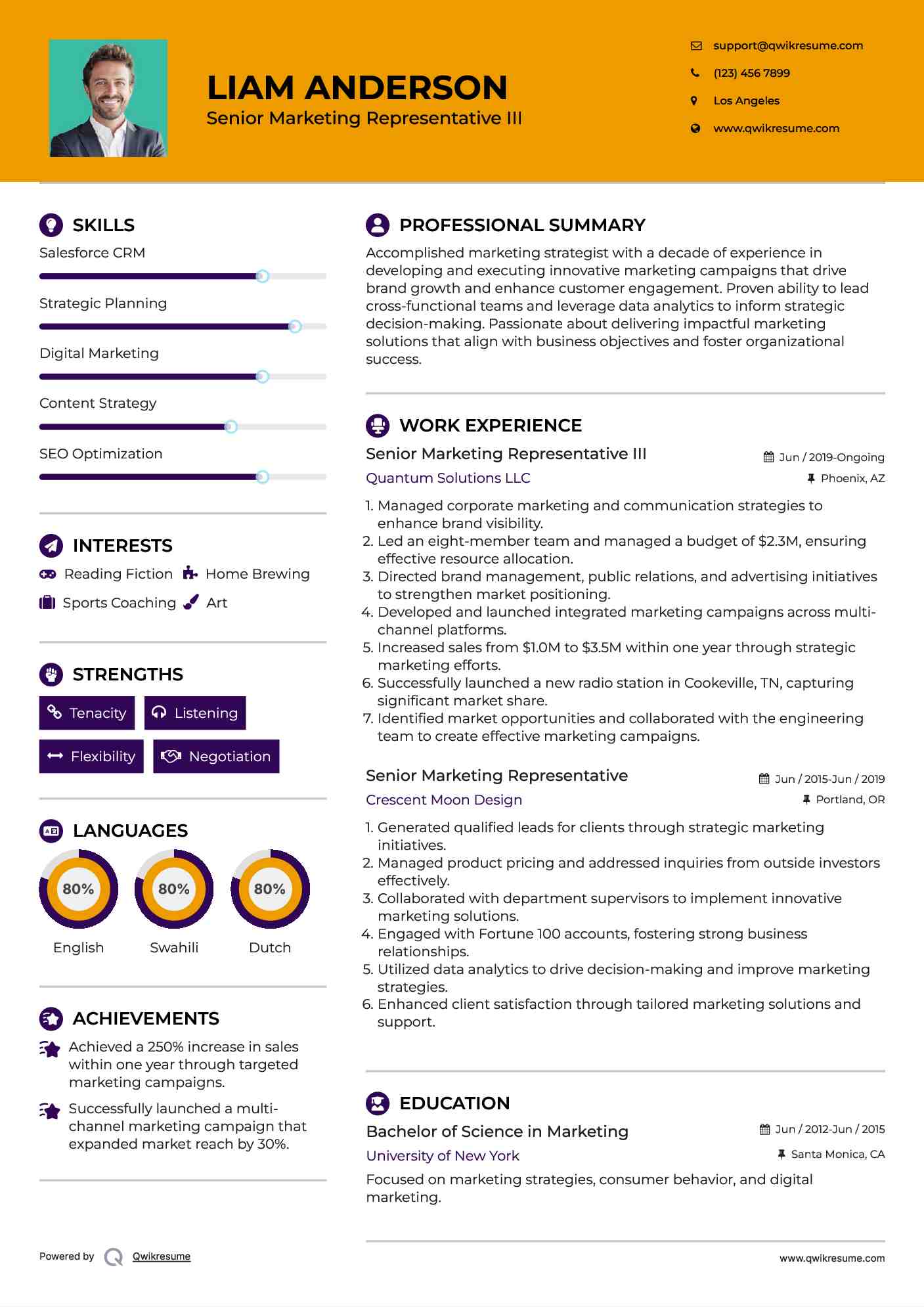 Senior Marketing Representative III Resume Model