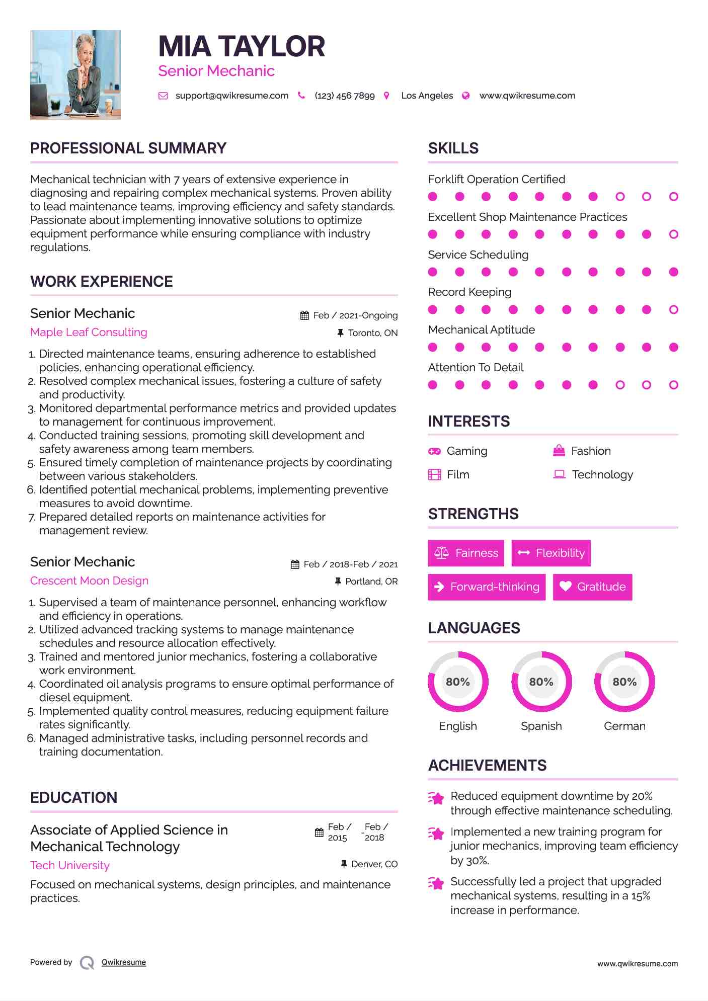 Senior Mechanic Resume Format