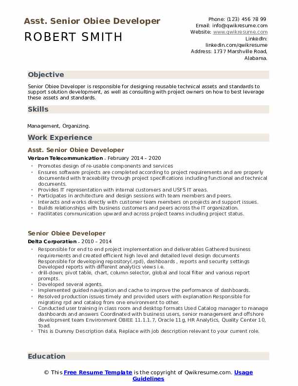 Senior Obiee Developer Resume Samples QwikResume