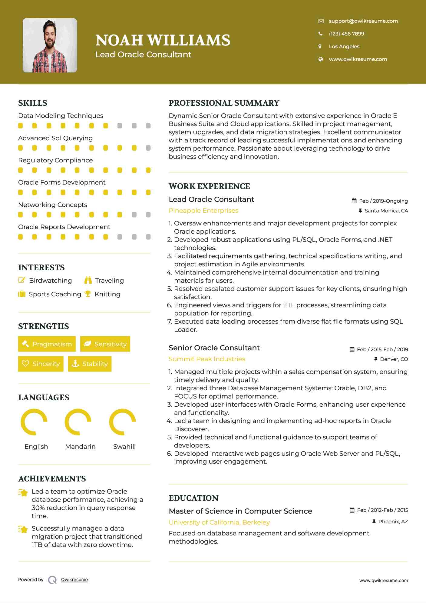 Lead Oracle Consultant Resume Template