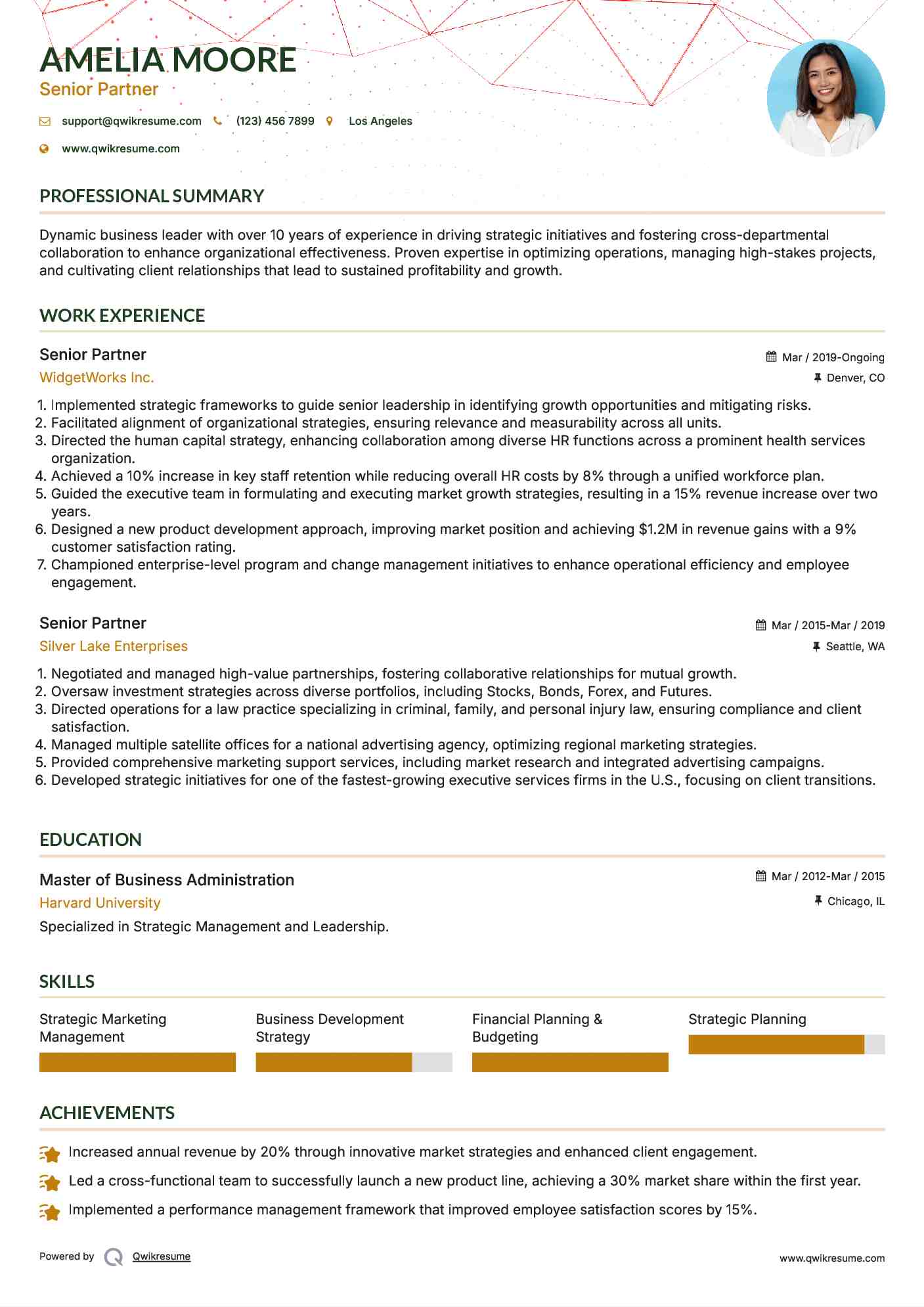 Senior Partner Resume Example