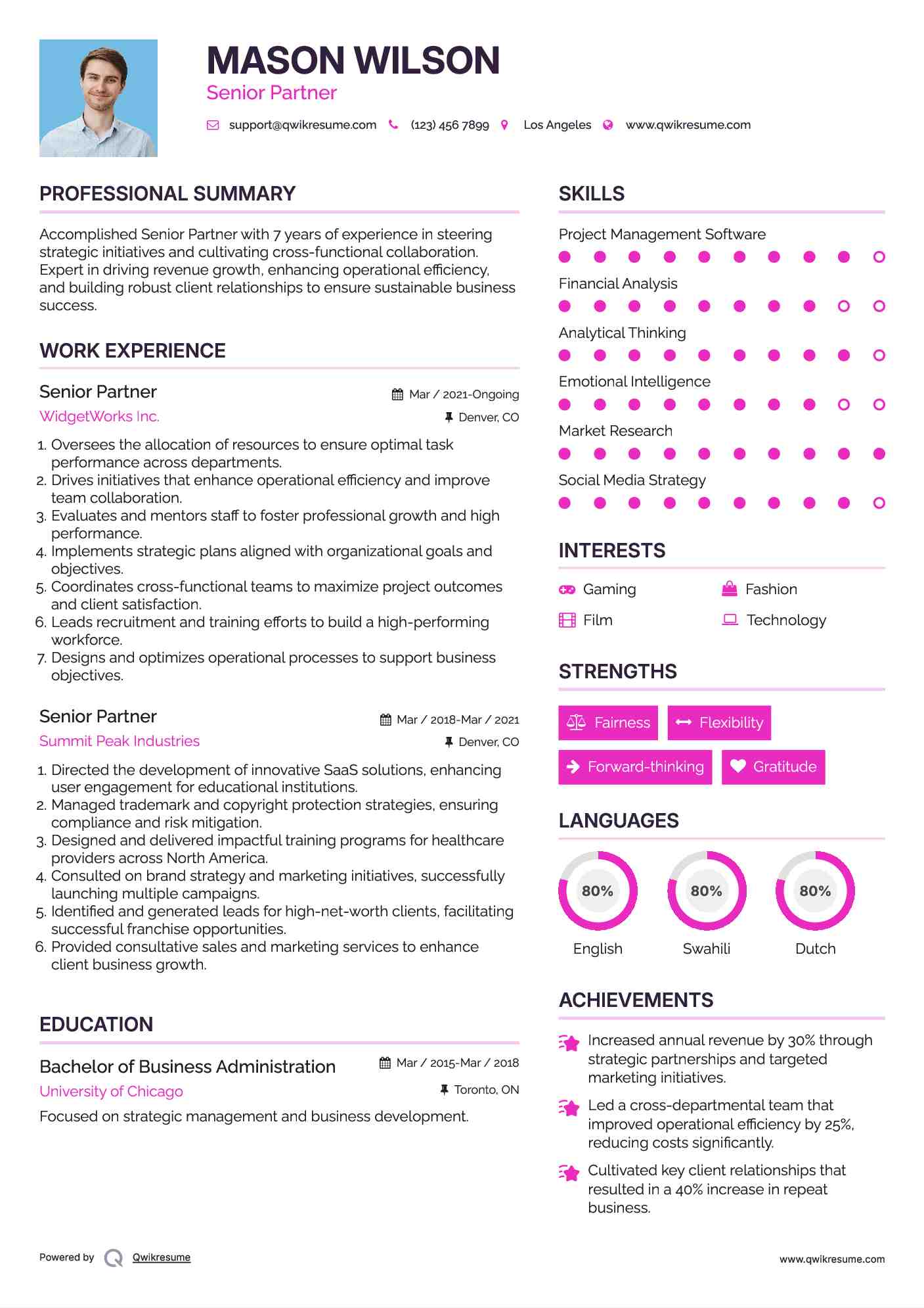 Senior Partner Resume Example