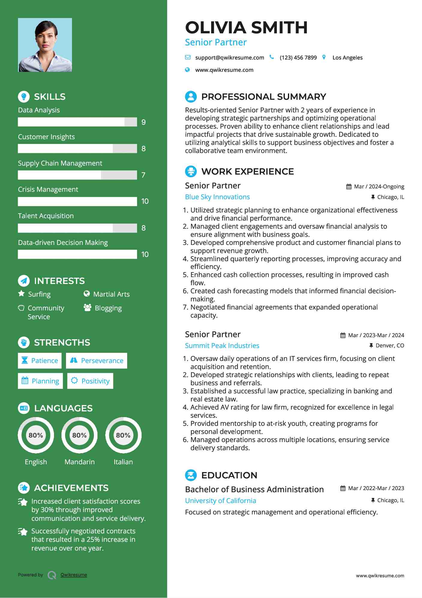 Senior Partner Resume Template