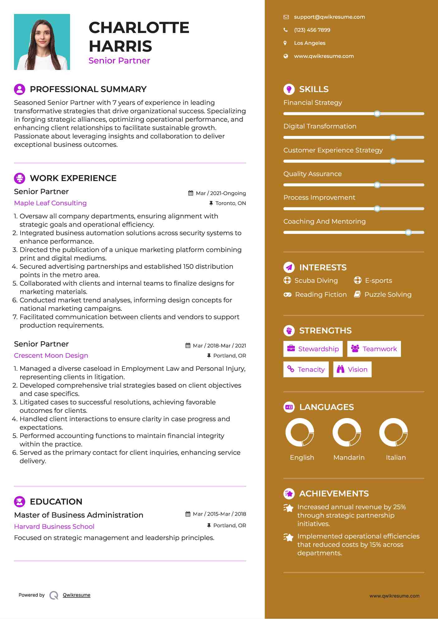 Senior Partner Resume Template