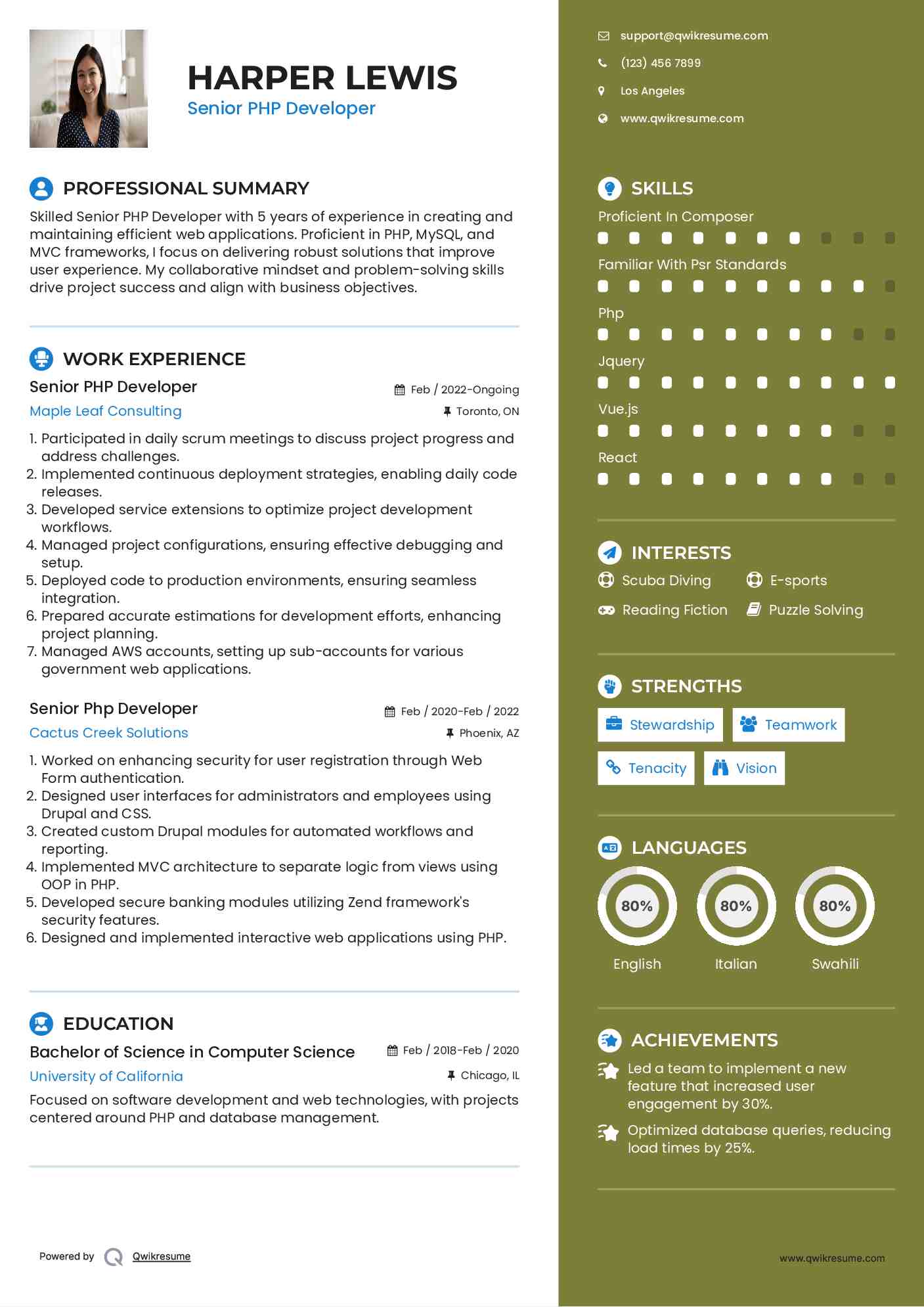 Senior PHP Developer Resume Model