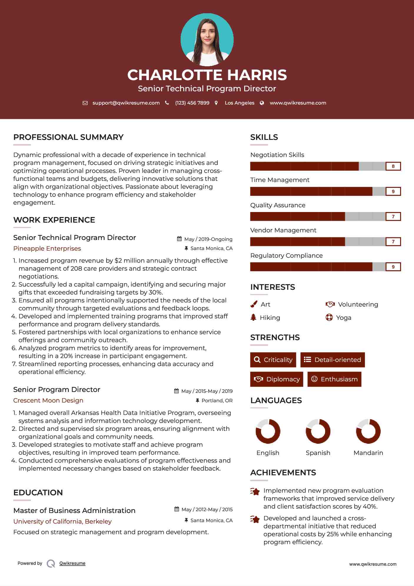 Senior Technical Program Director Resume Example