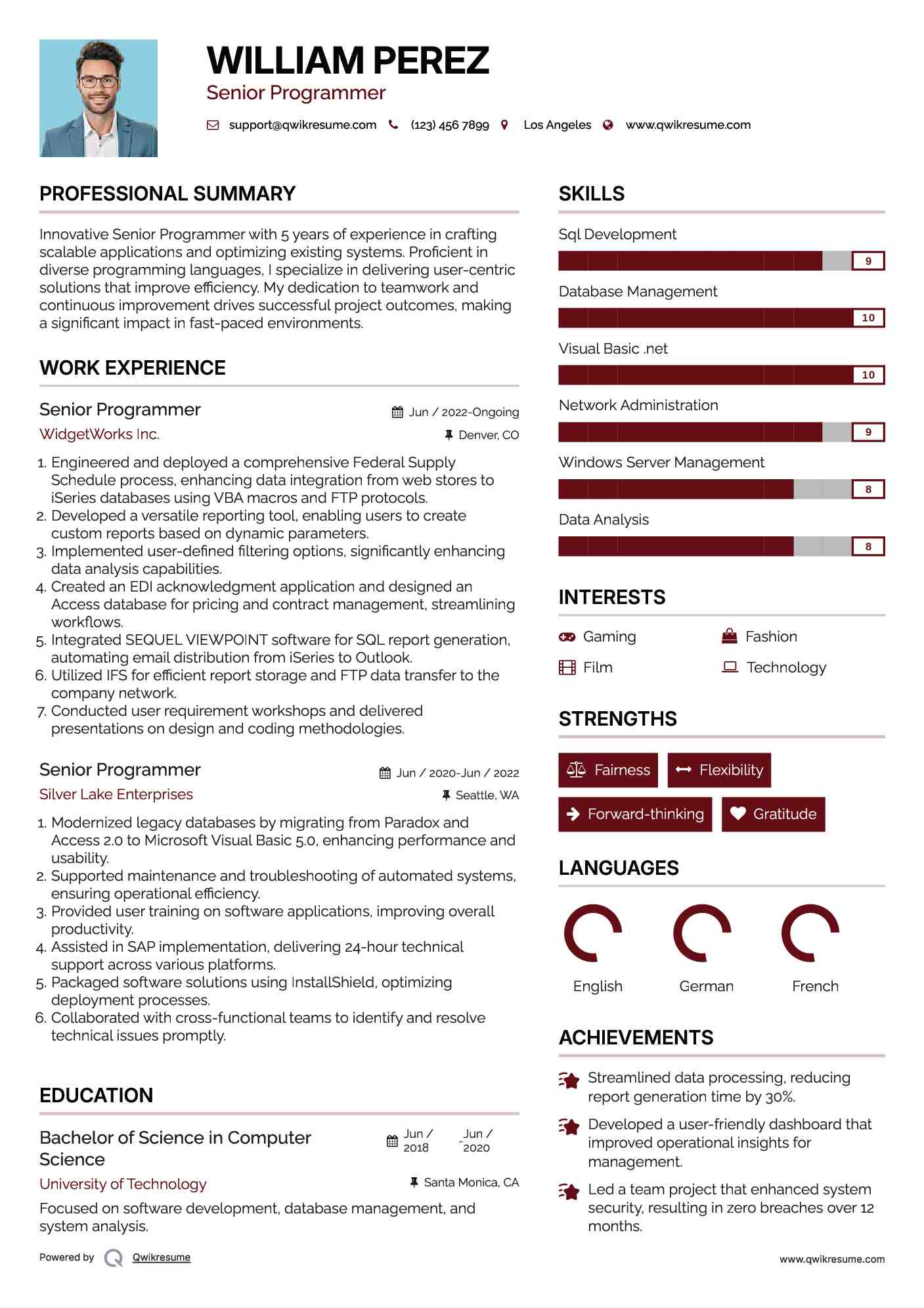 Senior Programmer Resume Template