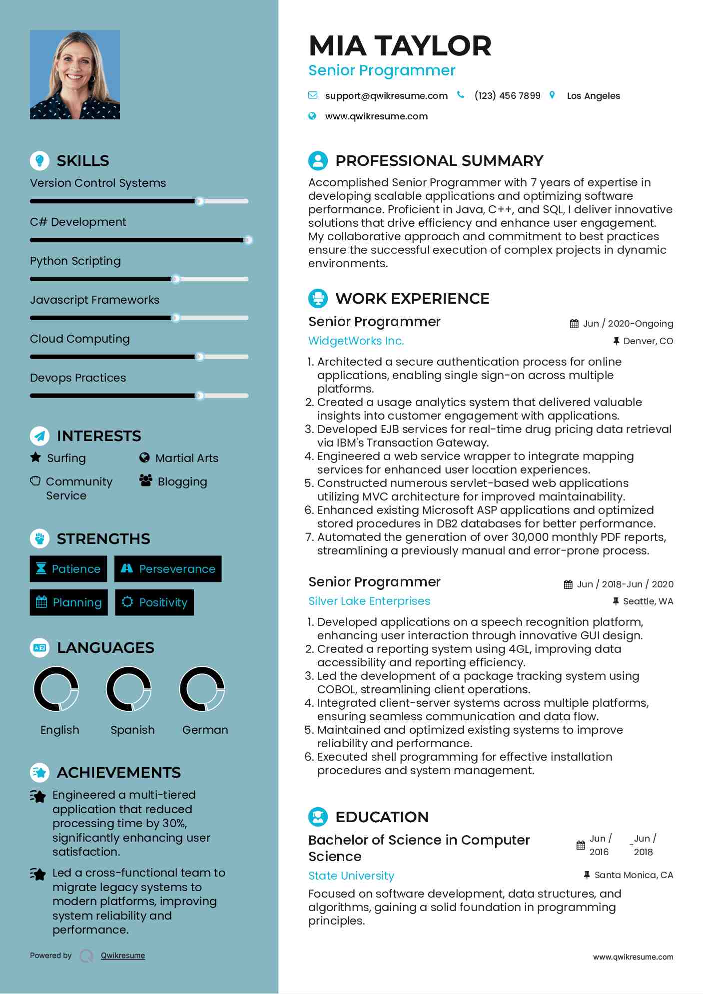 Senior Programmer Resume Sample