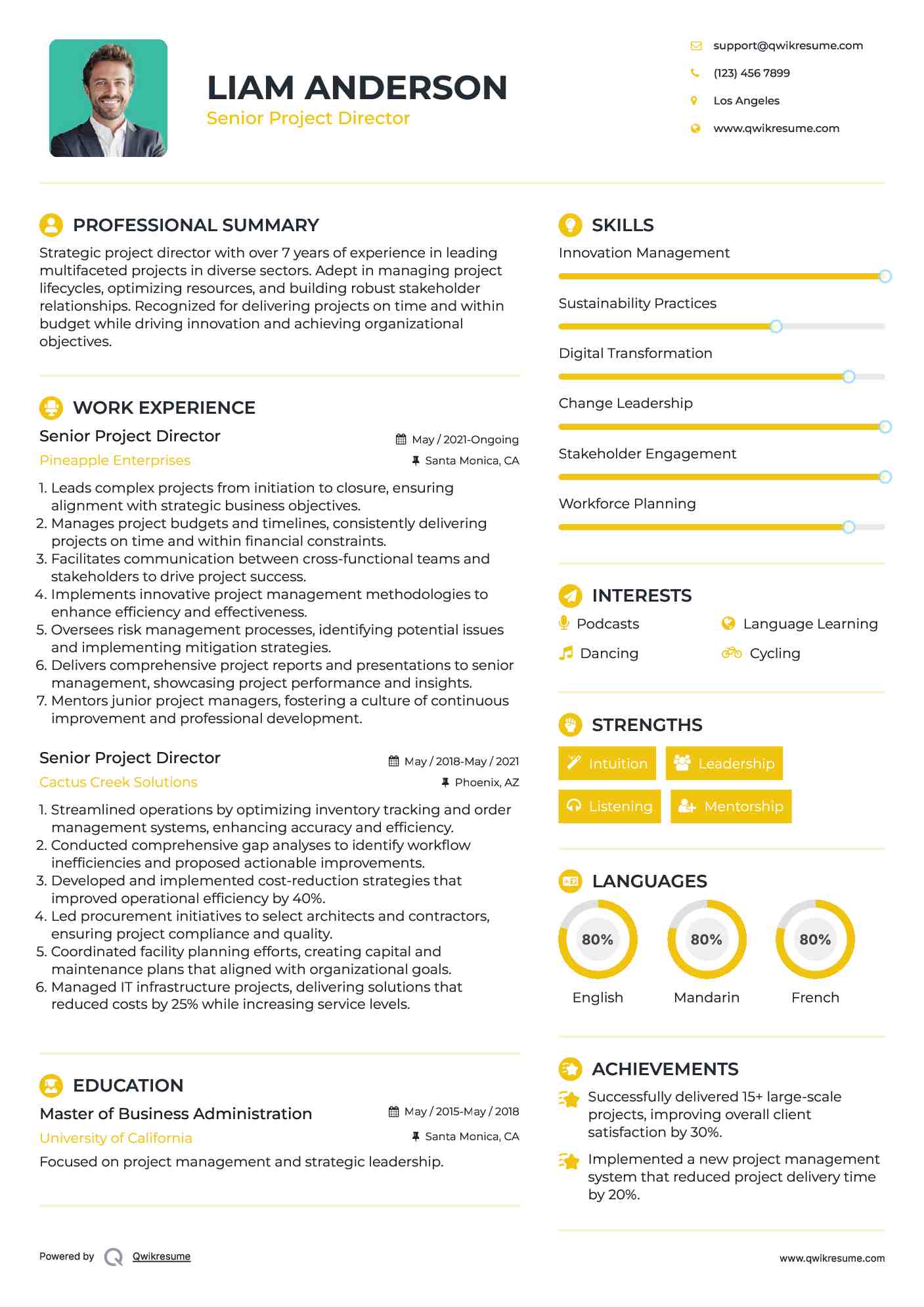 Senior Project Director Resume Model