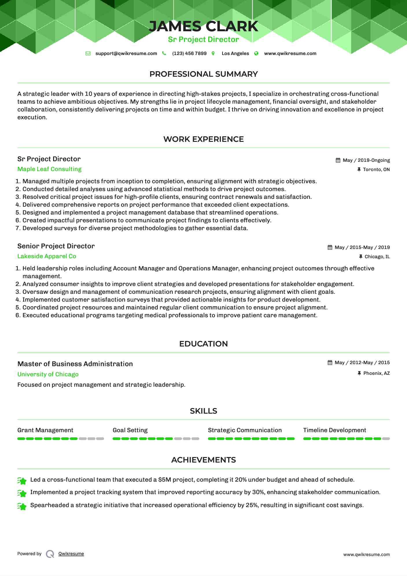 Sr Project Director Resume Sample