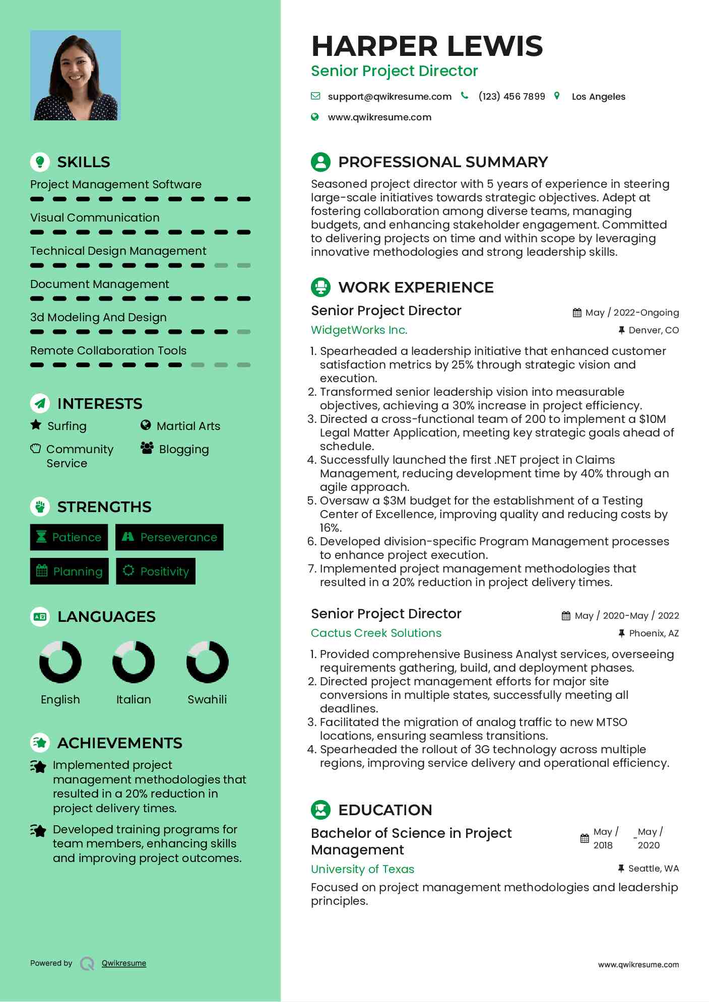 Senior Project Director Resume Model