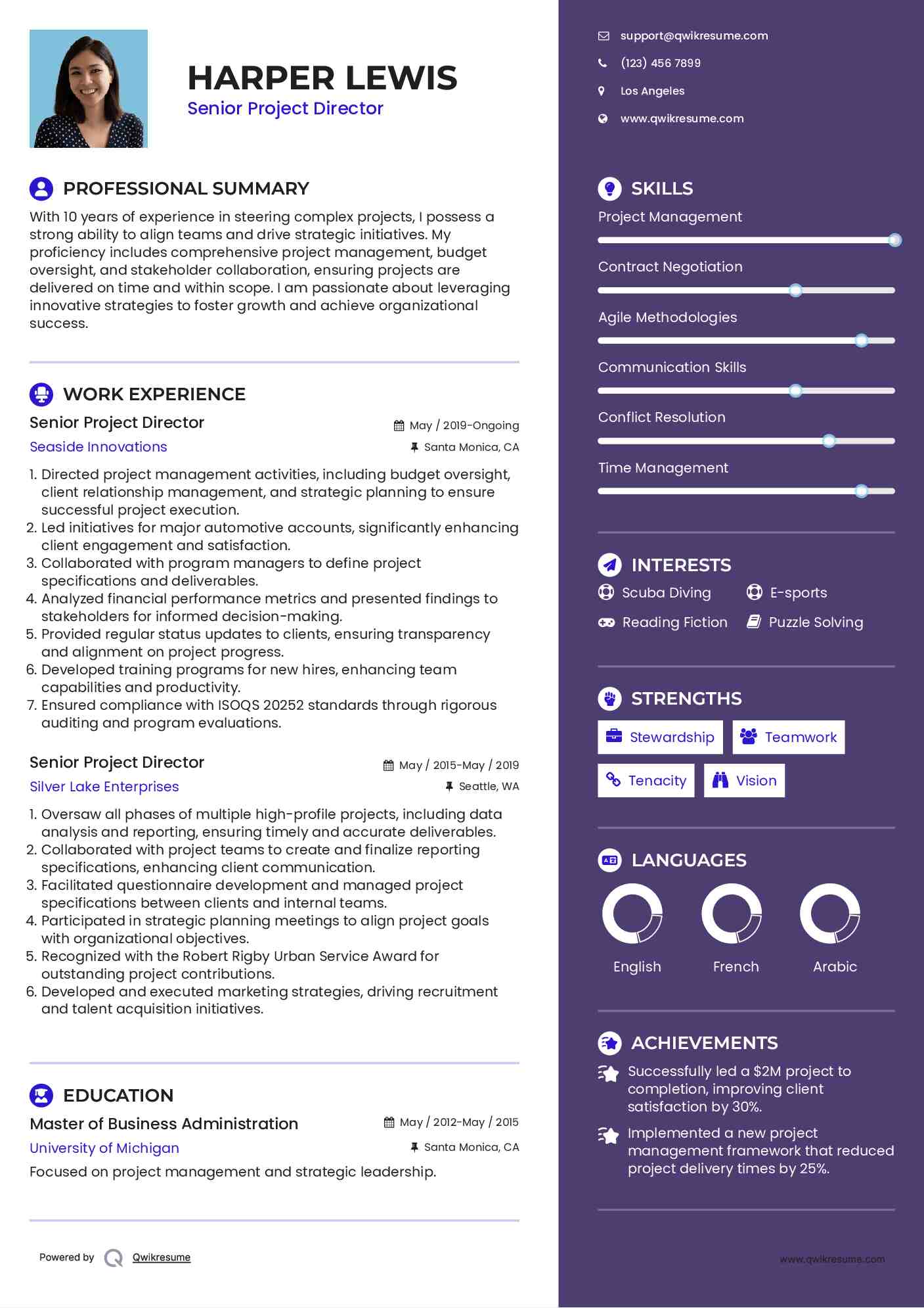 Senior Project Director Resume Model