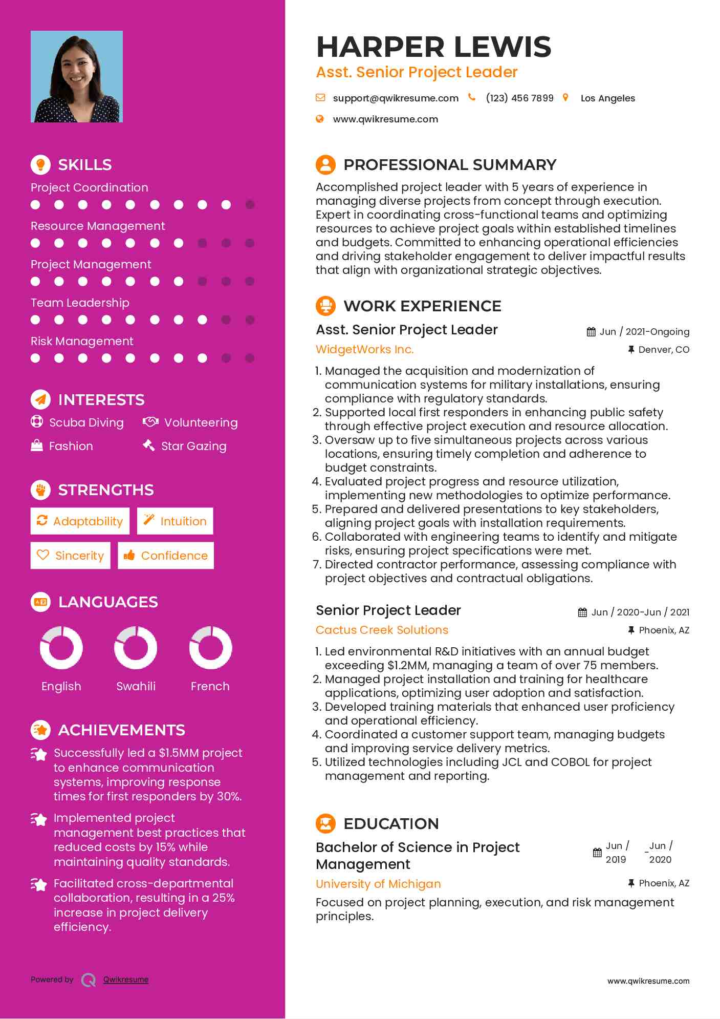 Asst. Senior Project Leader Resume Template