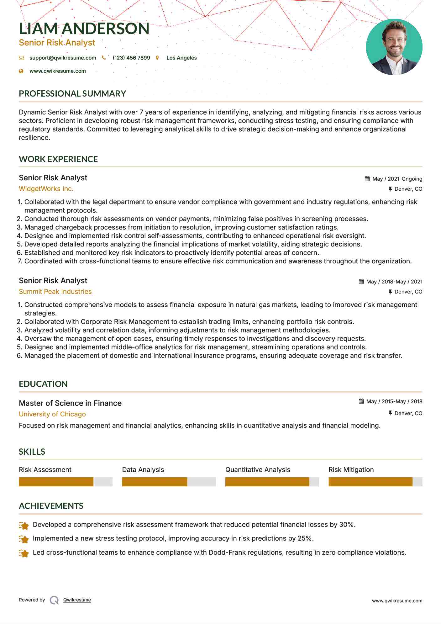 Senior Risk Analyst Resume Example