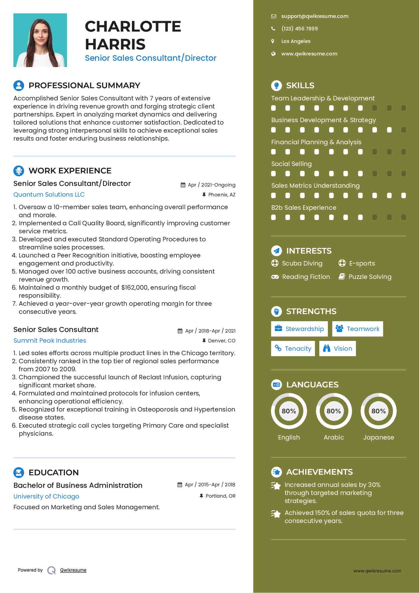 Senior Sales Consultant/Director Resume Template