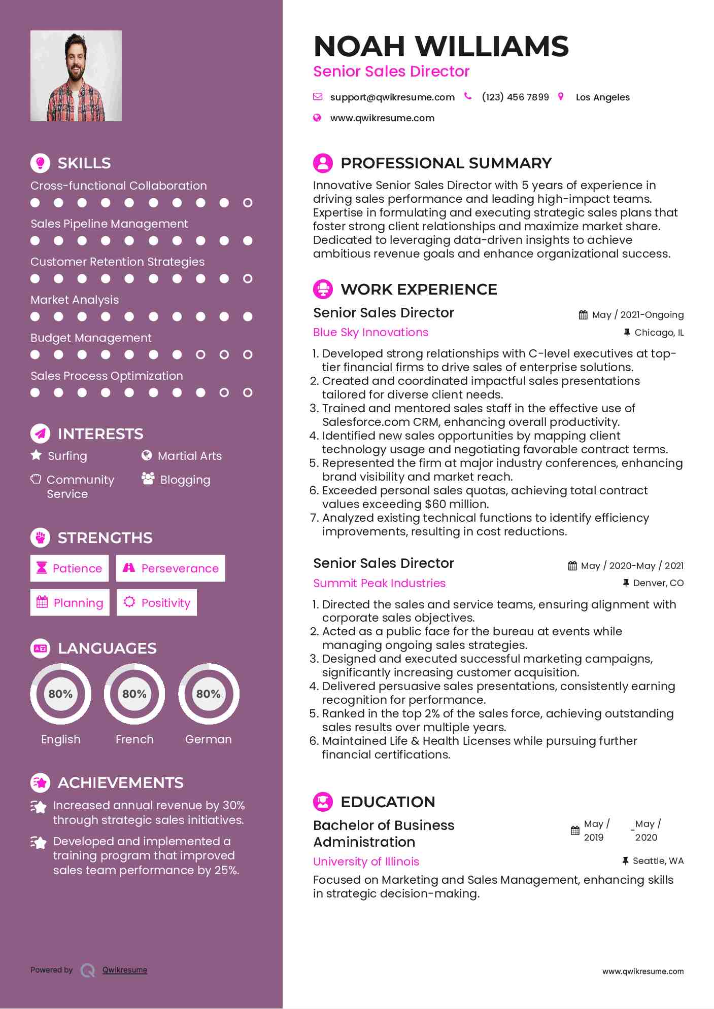 10 Senior Sales Director Resume - Senior Sales Director 1588783068 Pdf 