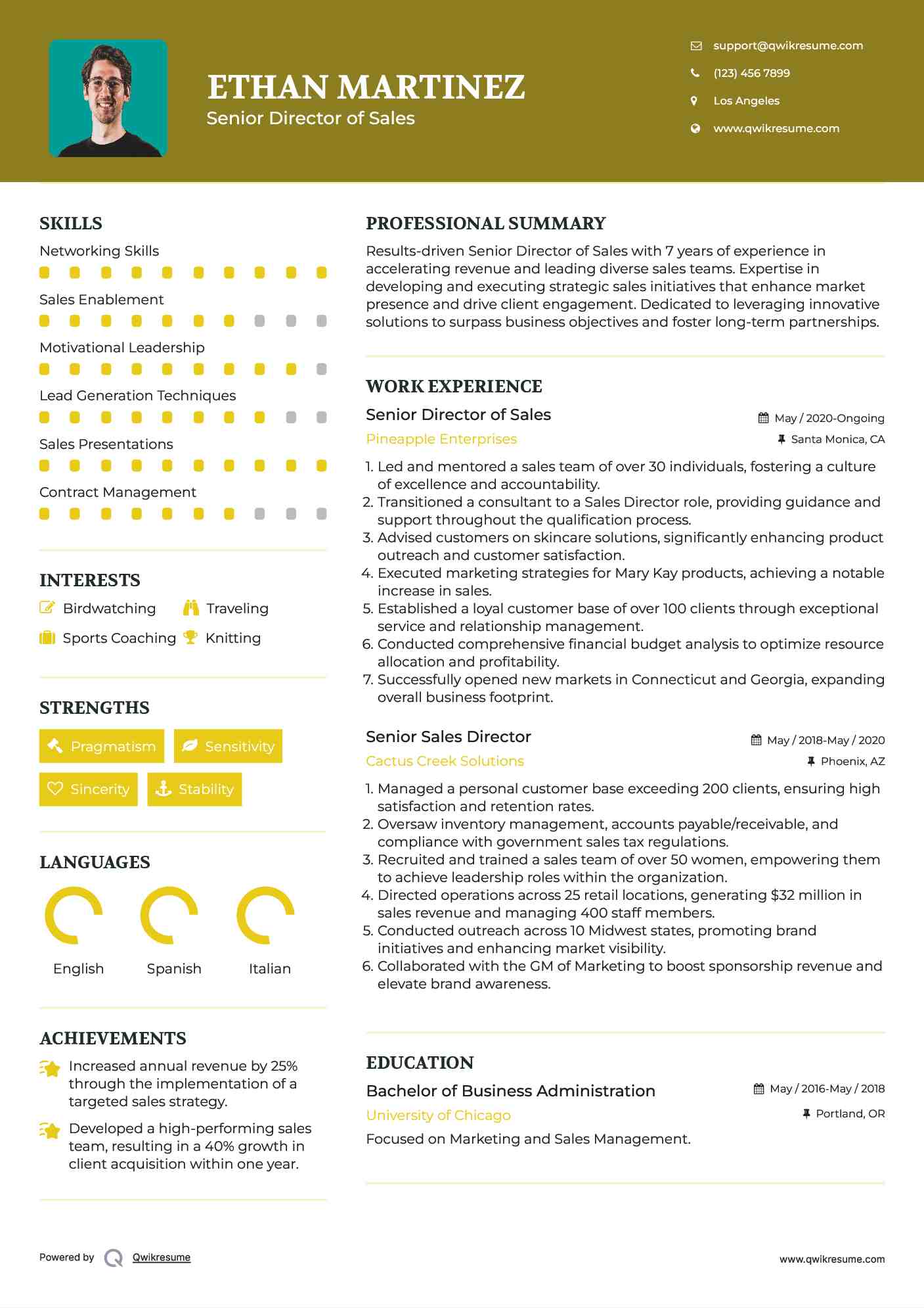 Senior Director of Sales Resume Template