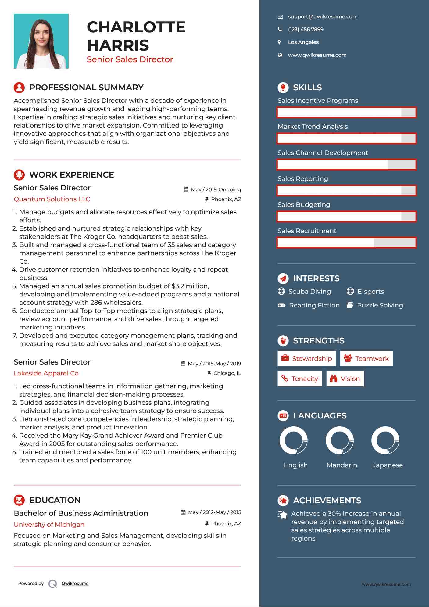 Senior Sales Director Resume Template