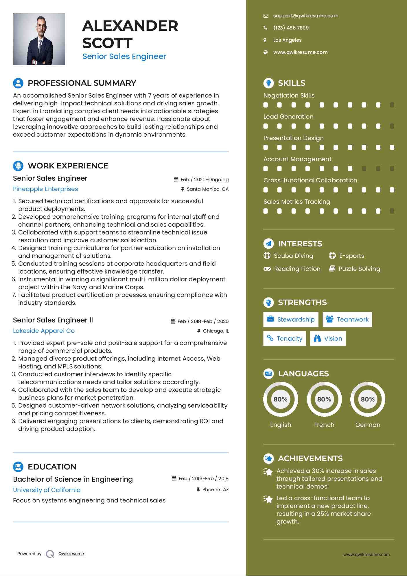 Senior Sales Engineer Resume Example