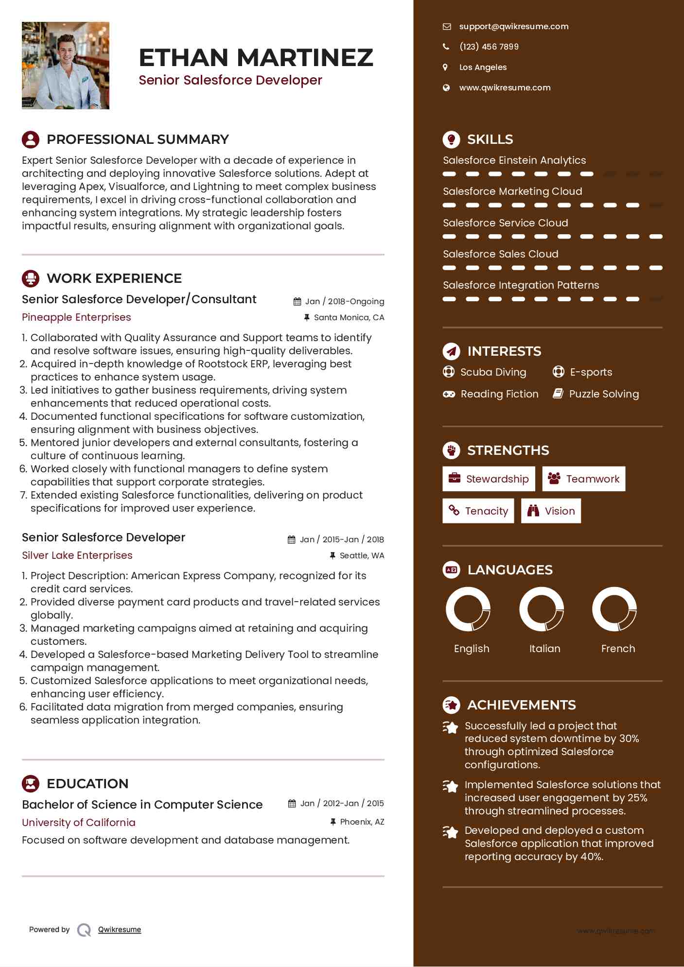 Senior Salesforce Developer/Consultant Resume Template