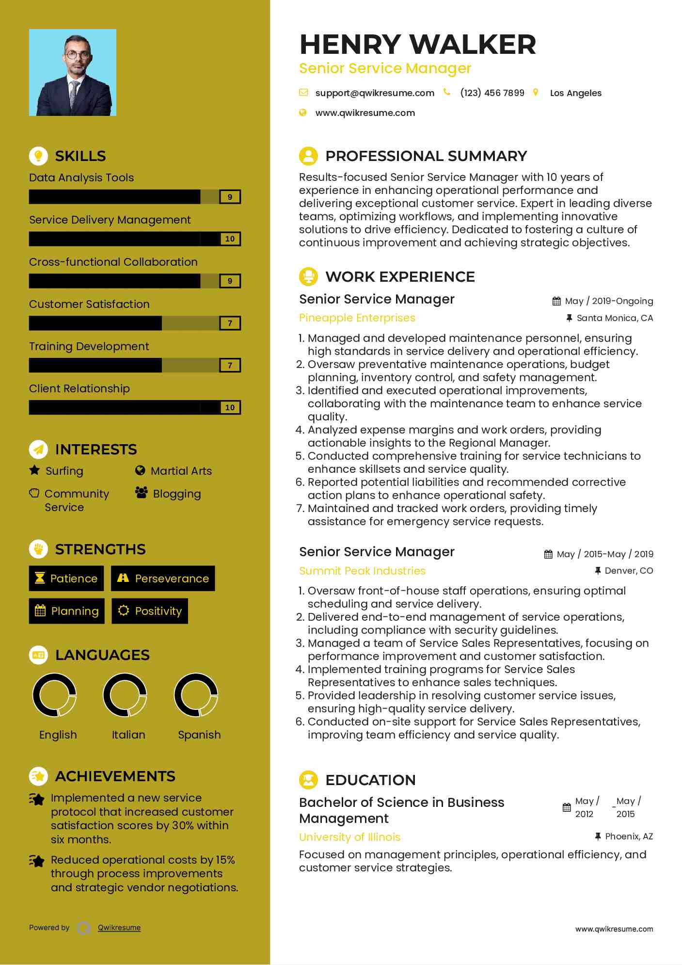 Senior Service Manager Resume Example