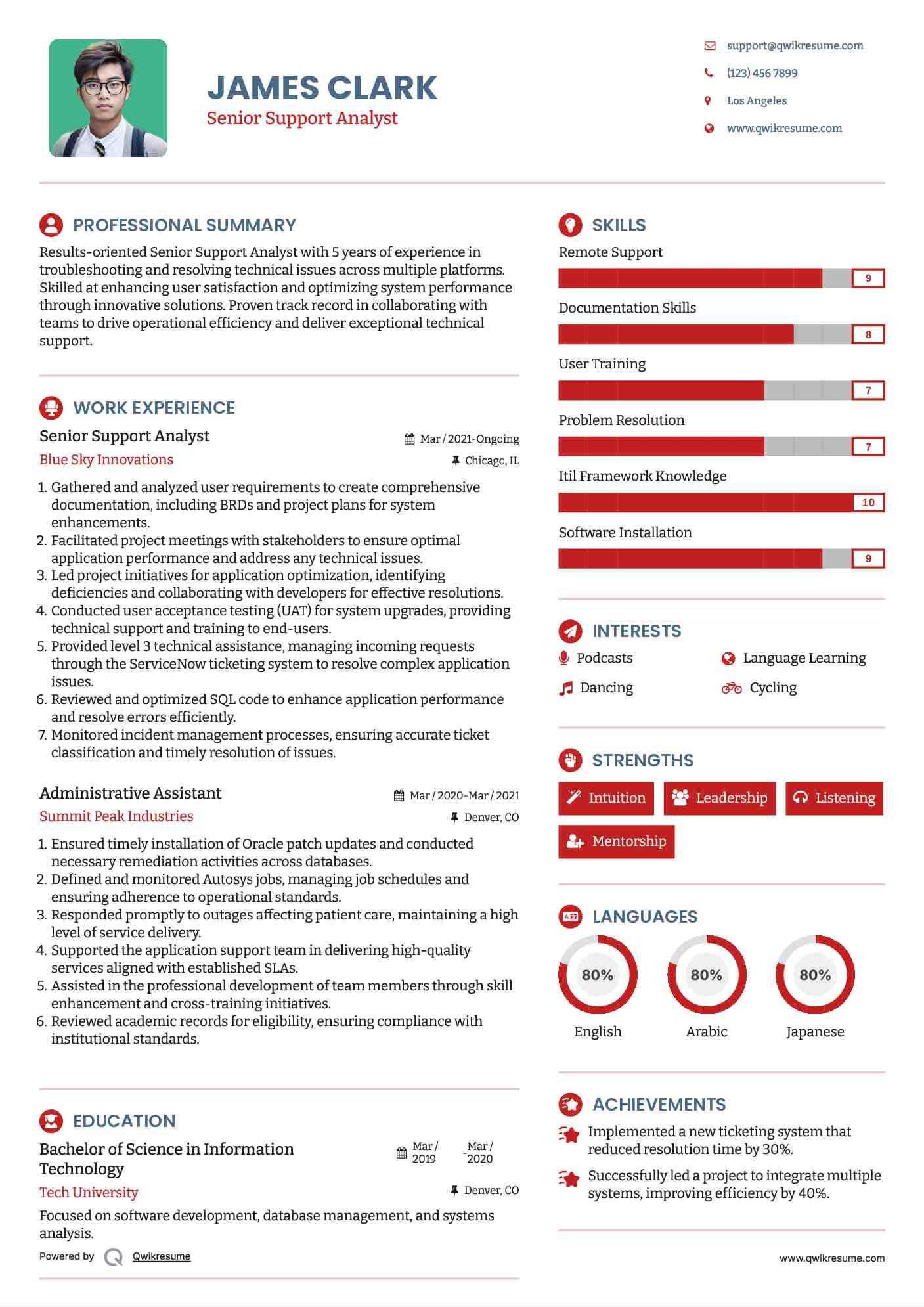Senior Support Analyst Resume Model