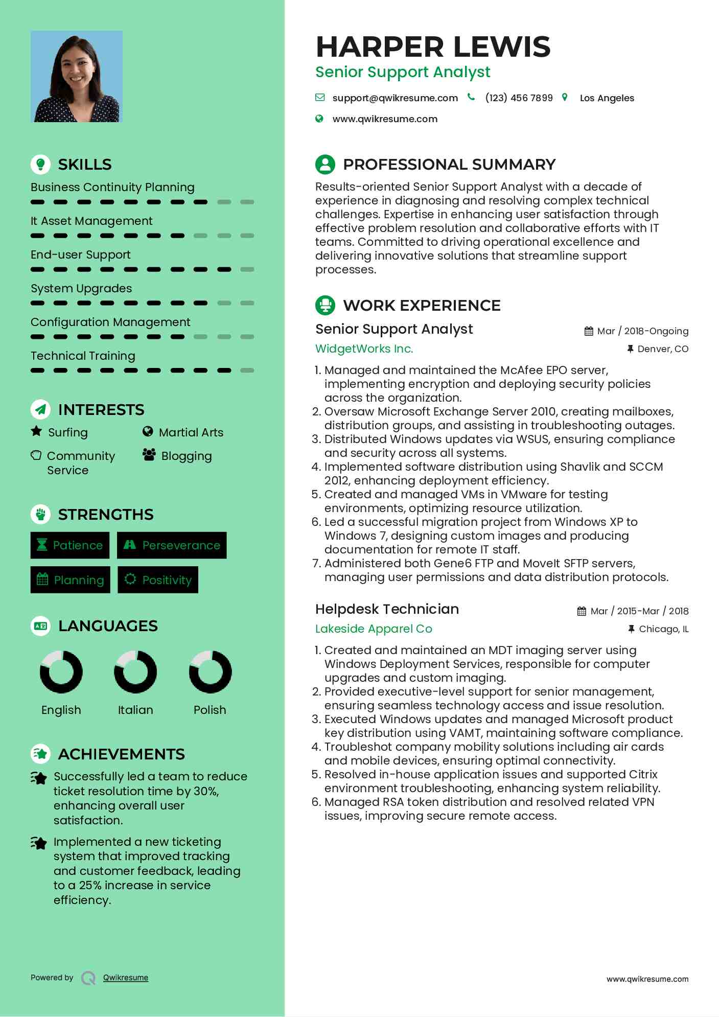 Senior Support Analyst Resume Example