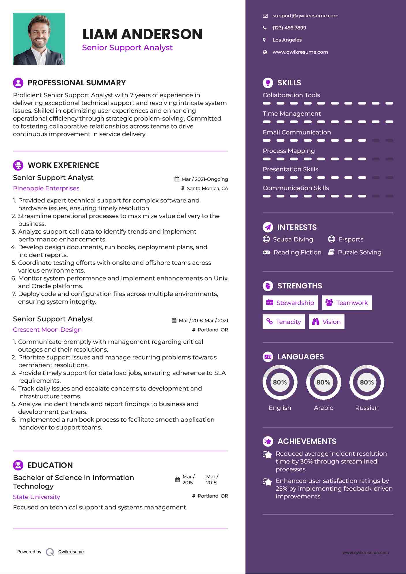 Senior Support Analyst Resume Model