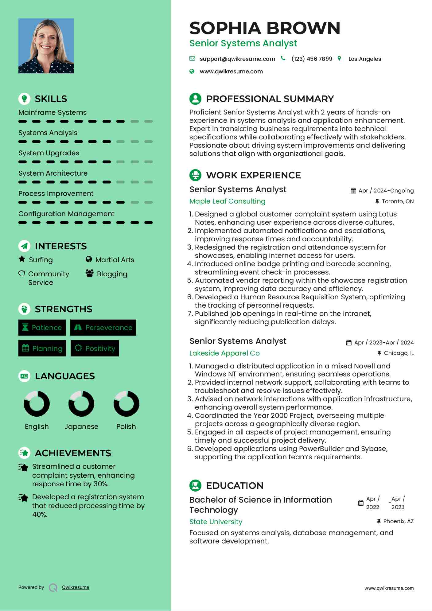 Senior Systems Analyst Resume Template