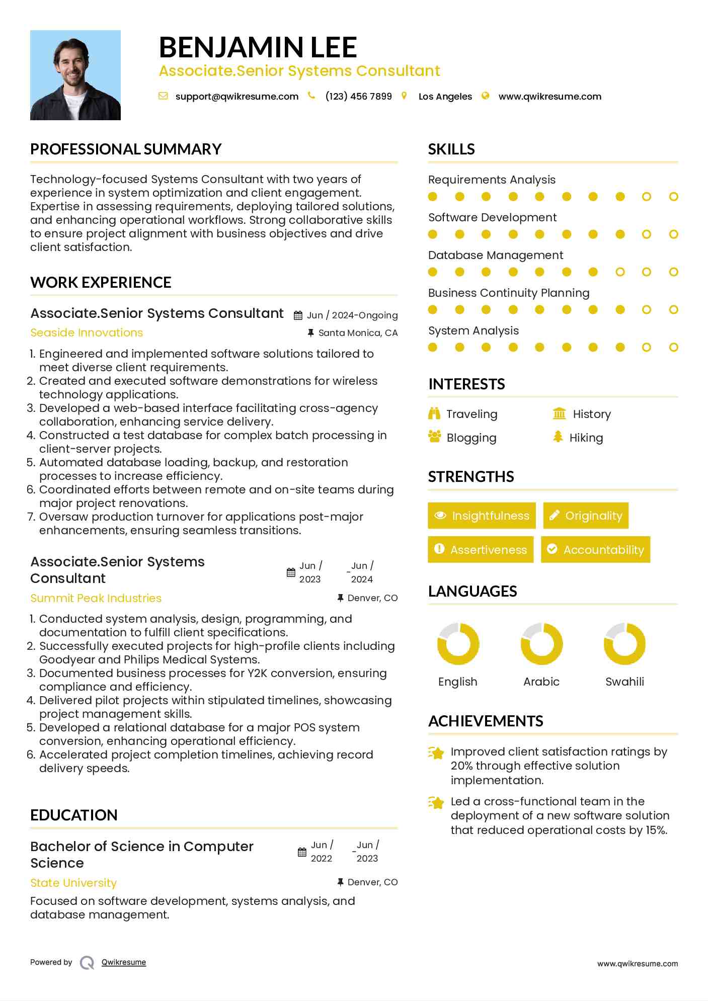 Associate.Senior Systems Consultant Resume Model