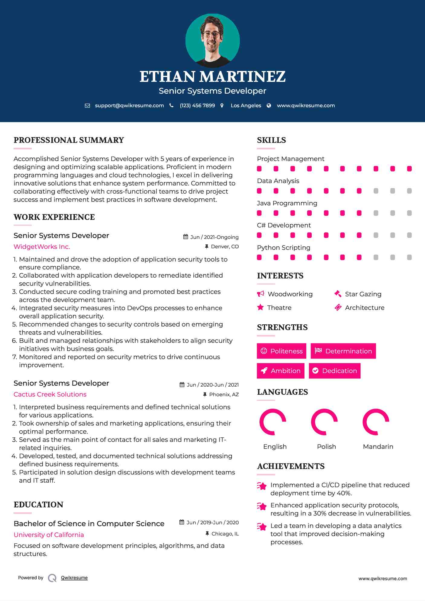 Senior Systems Developer Resume Sample