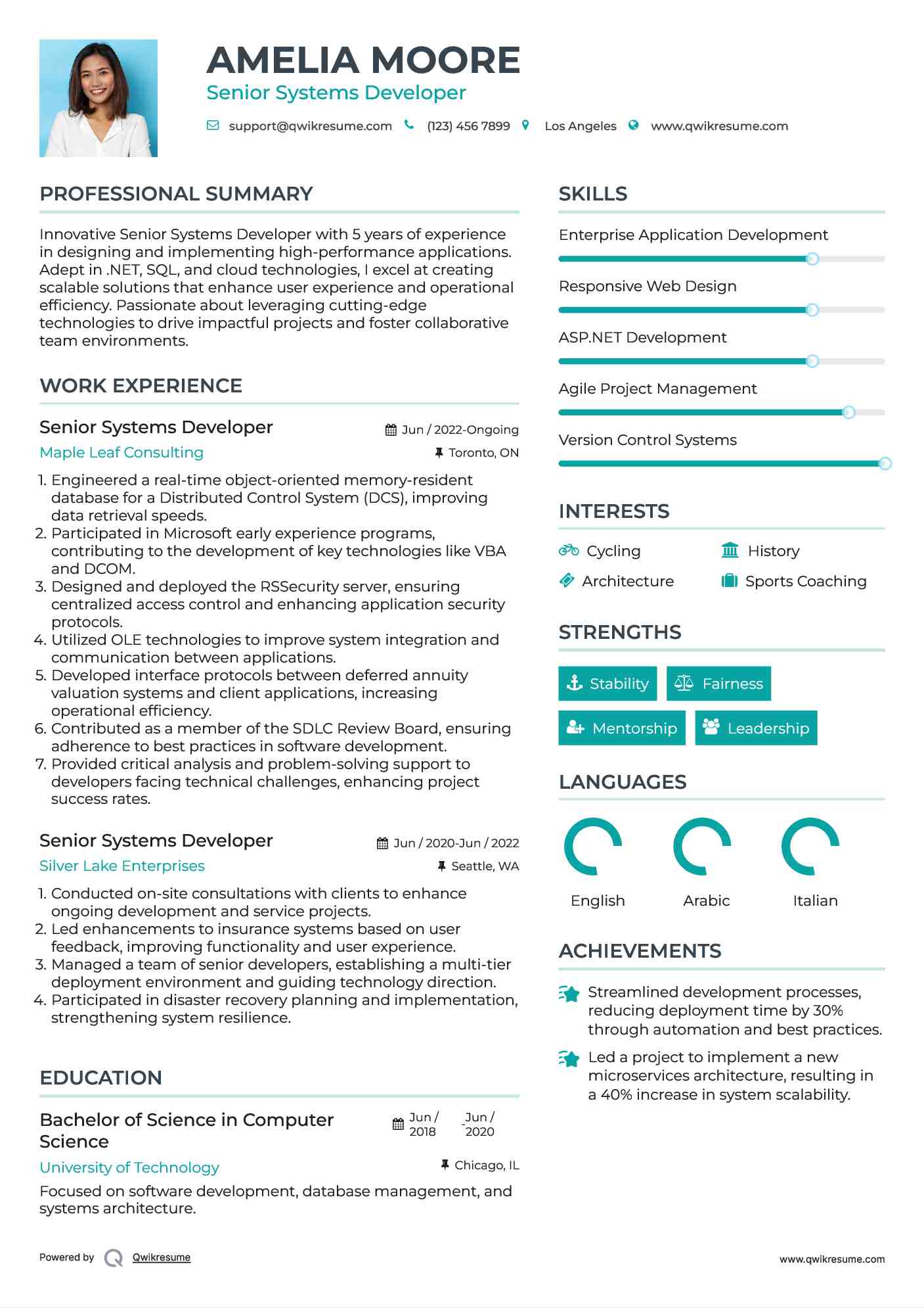 Senior Systems Developer Resume Template